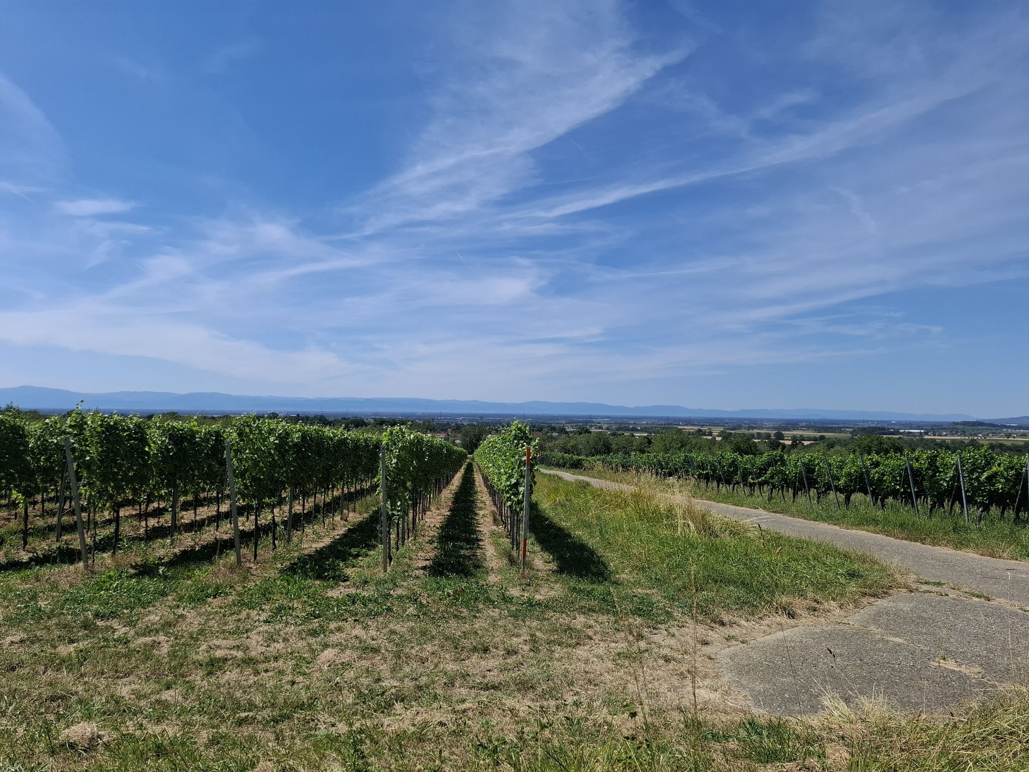 Was ne Aussicht - ein Traum