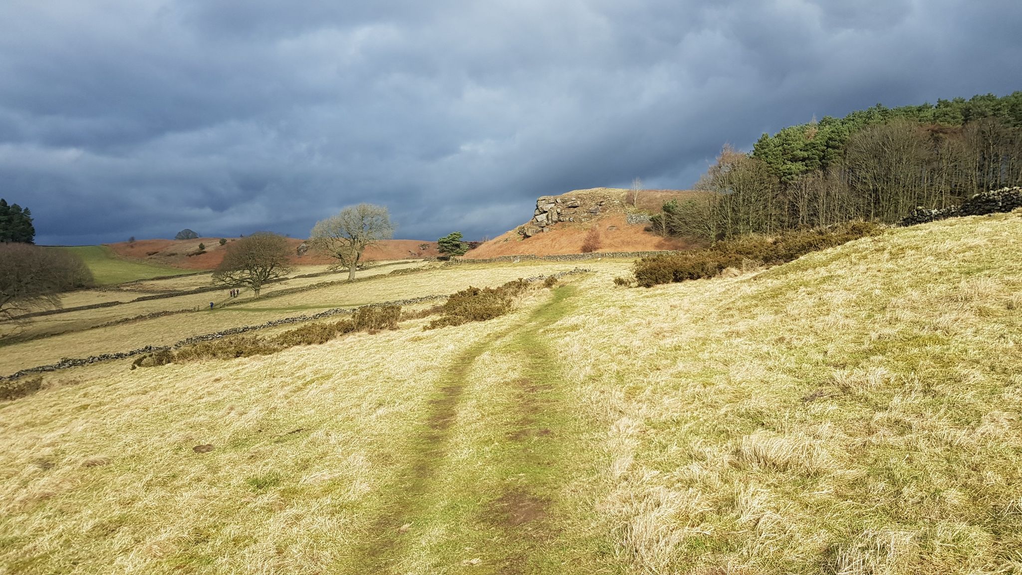 Gritstone Escarpment Nr The Spout