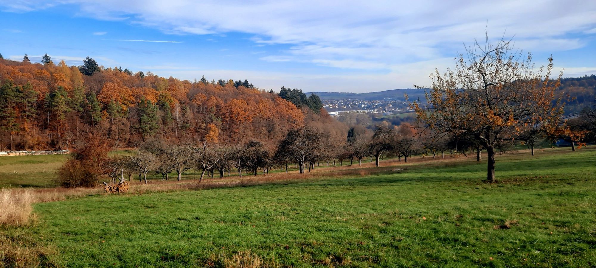 Blick Richtung Stein 