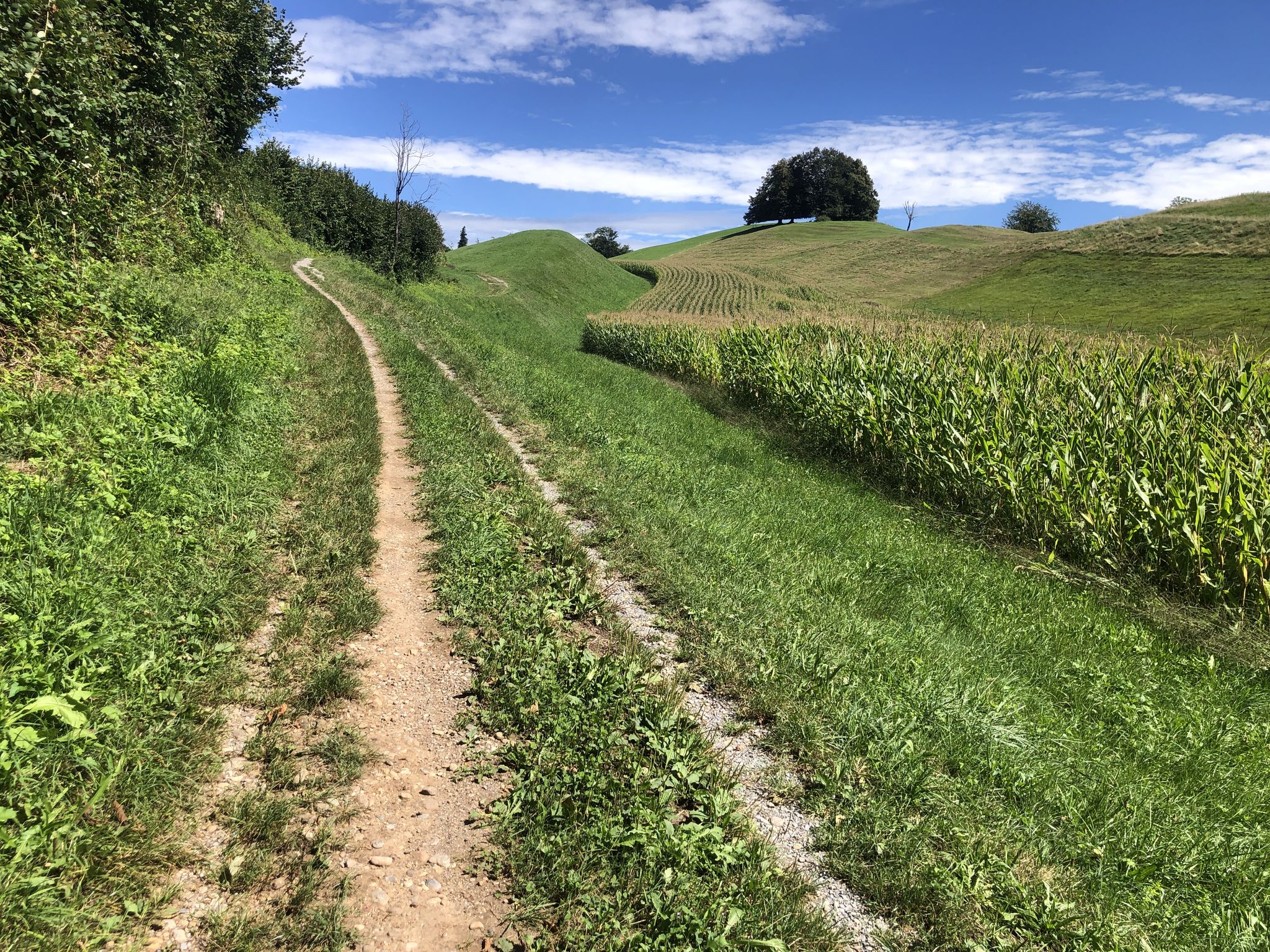 Egg-Hohweg-Trail