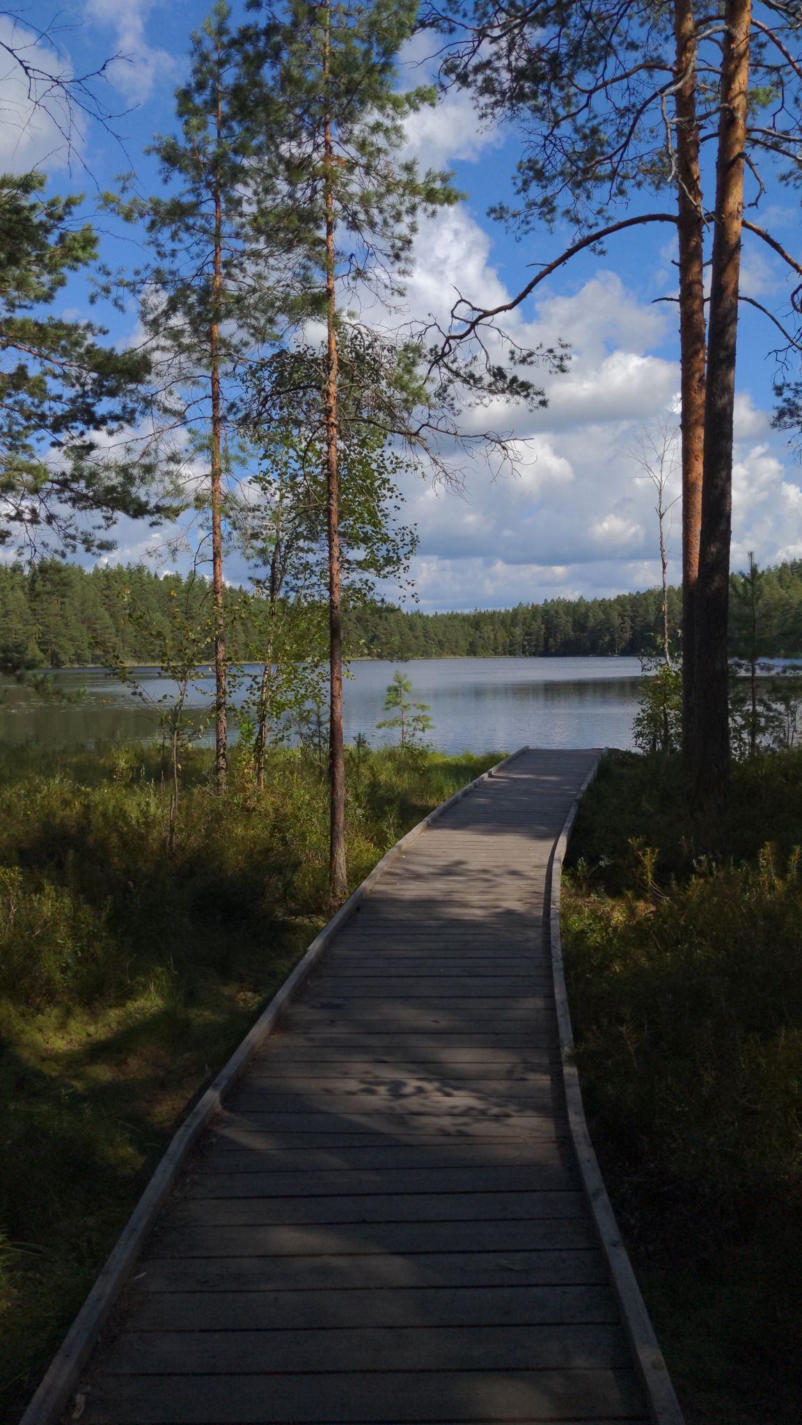 Foodbridge with view of lake