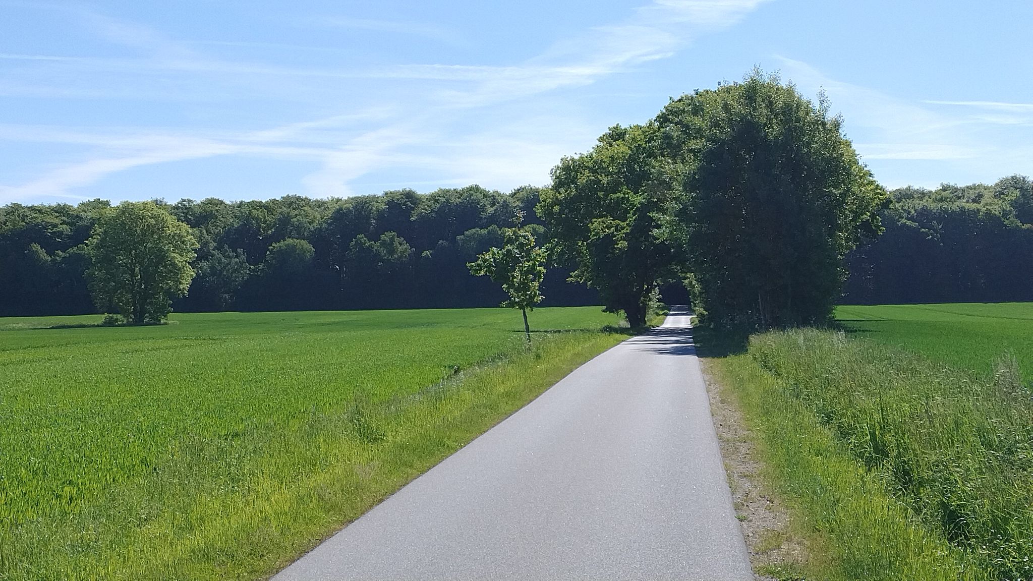 Typischer schöner Weg heute....