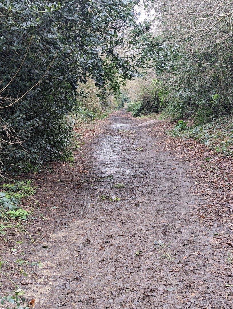 Oh no, more mud.
