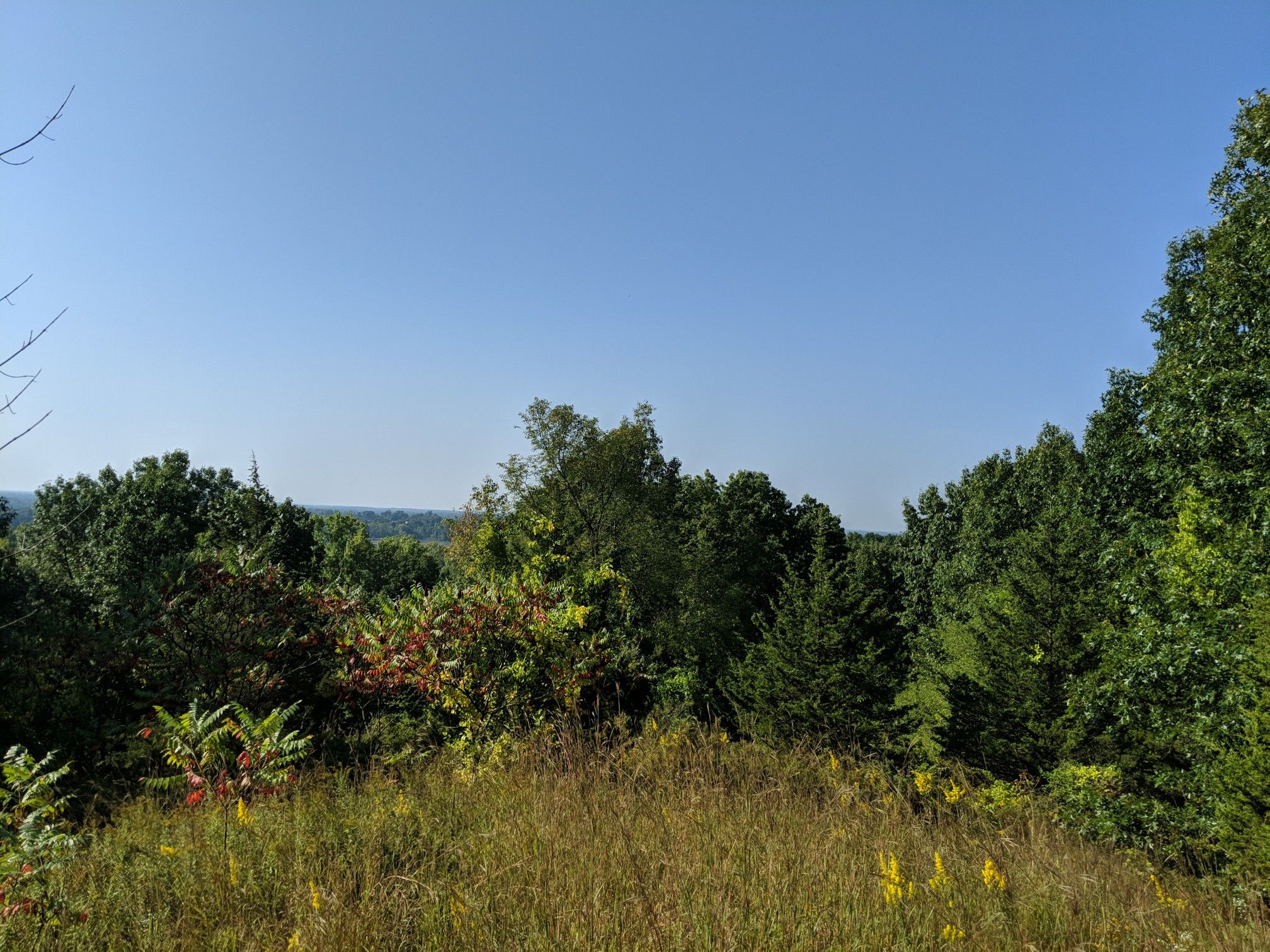 Sunny view over a dense green forest and distant hills. - Pontiac Lake Recreation Area Mountain Bike Trail