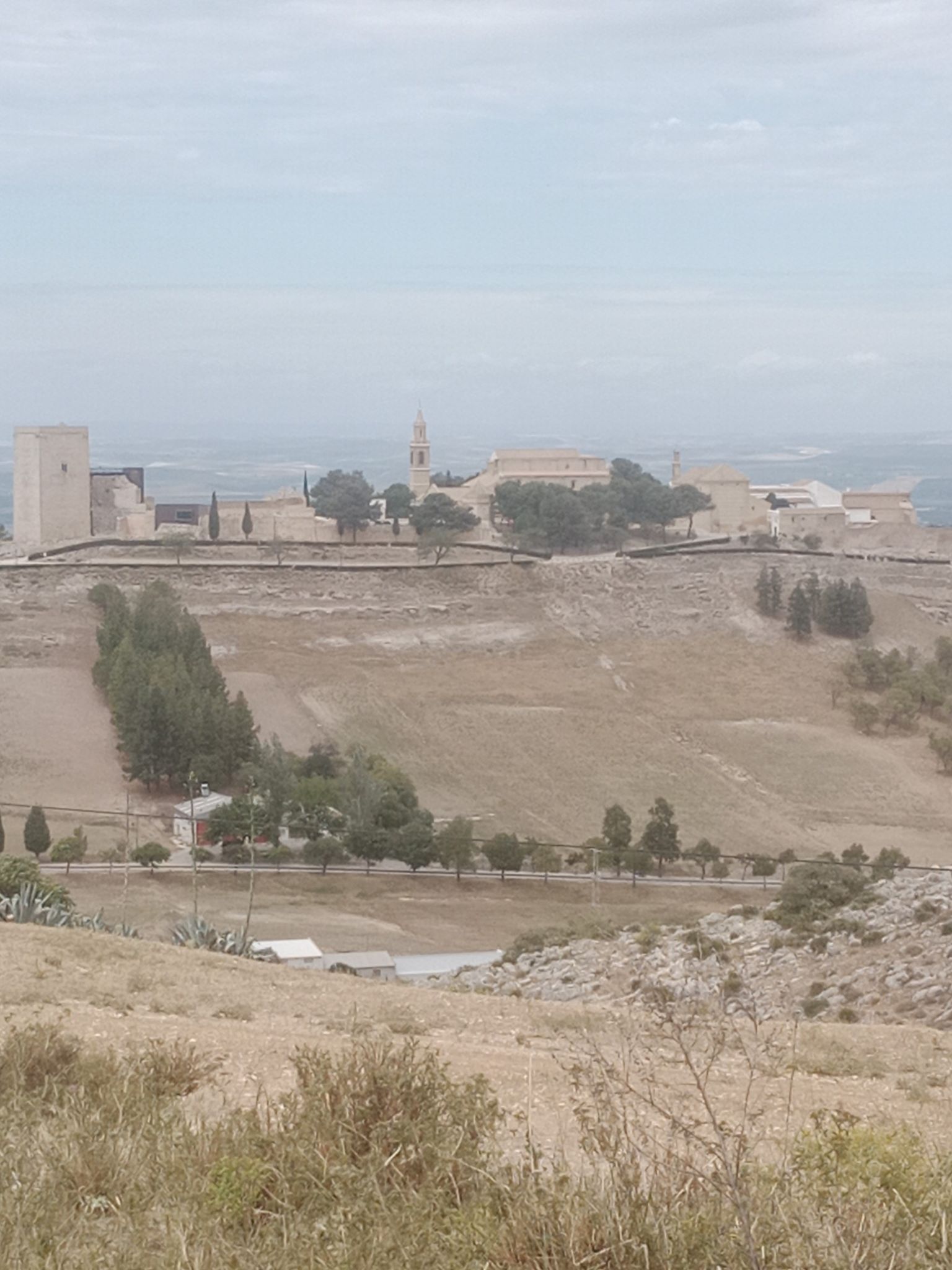 castillo estepa