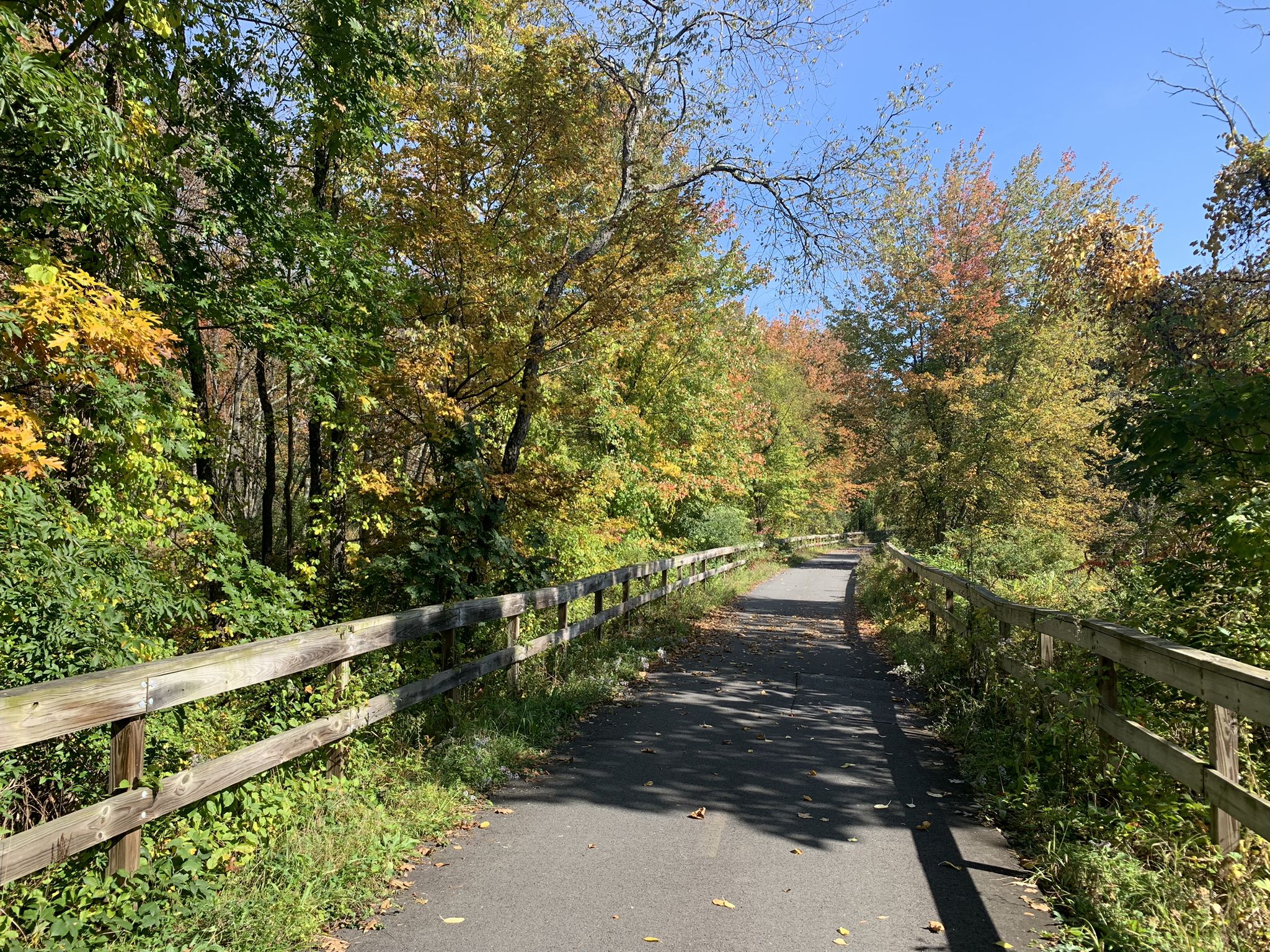 Paved path lined with wooden fences and colorful autumn trees on a sunny day. - Main Street loop from Northampton