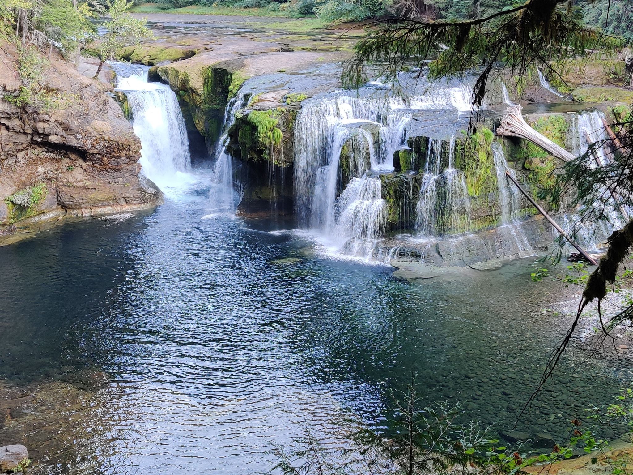 Waterfall cascades into a clear pool, surrounded by mossy rocks and trees. - Lewis River Falls Trail