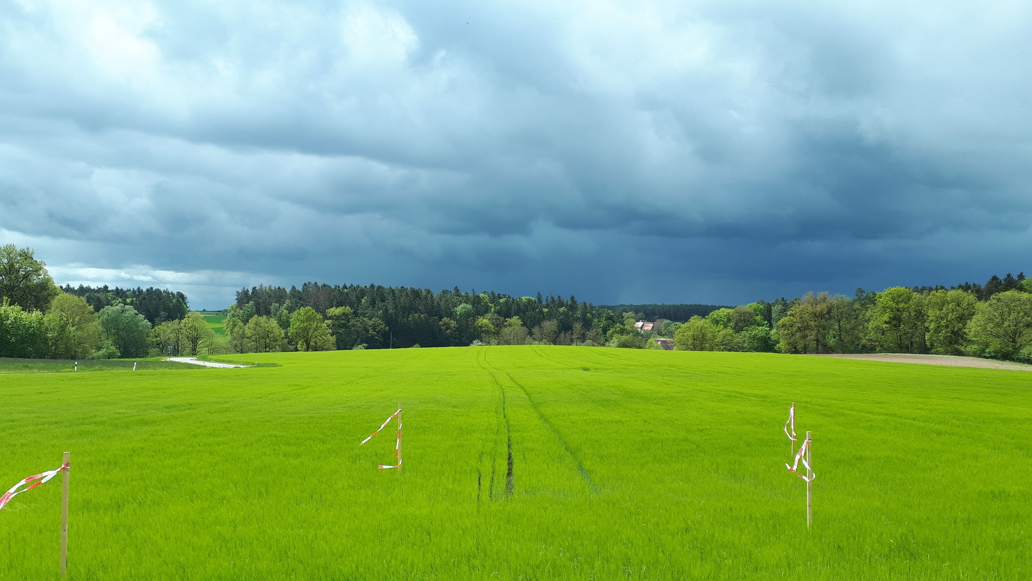 dunkle Wolken