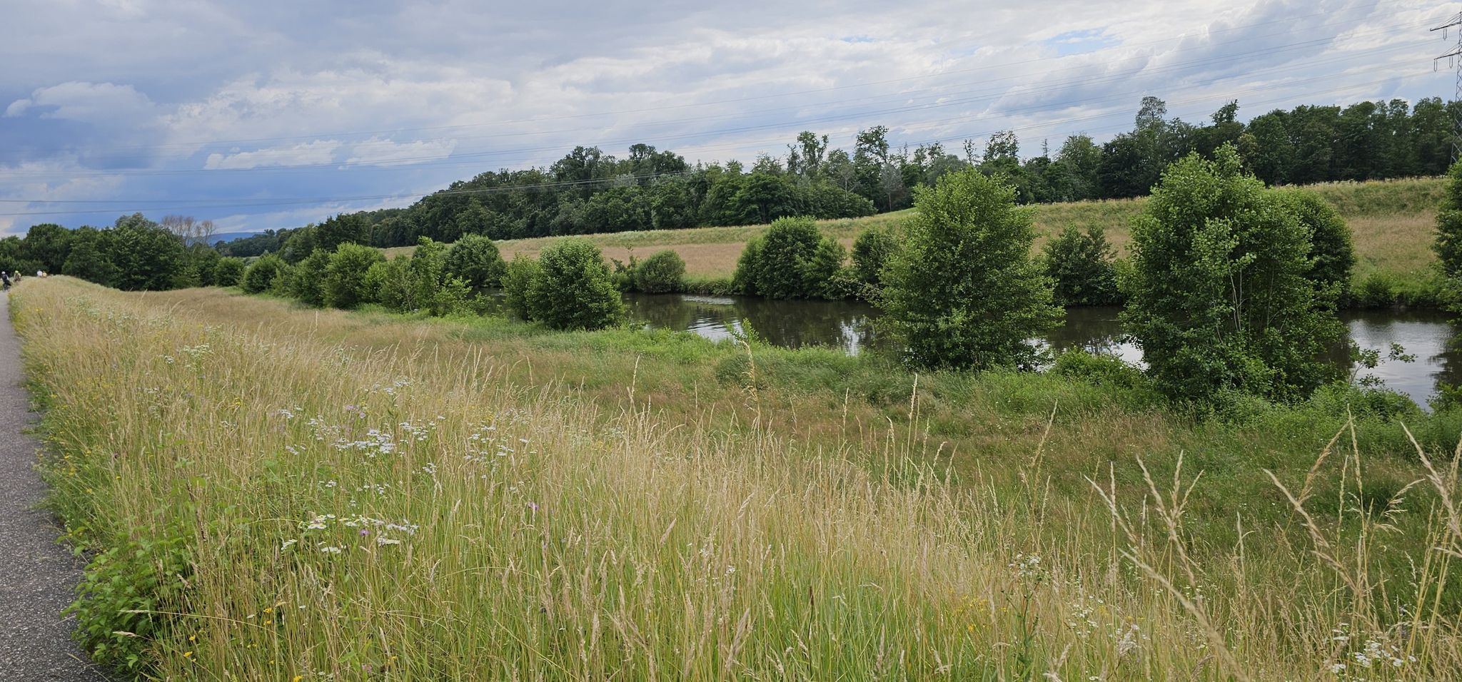 Kinzig in Offenburg