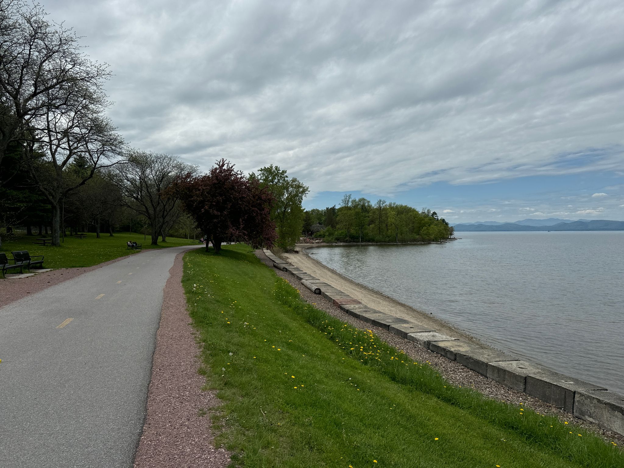 A paved path runs alongside a grassy bank and calm water under a cloudy sky. - Blanchard Beach – Burlington Greenway loop from Burlington
