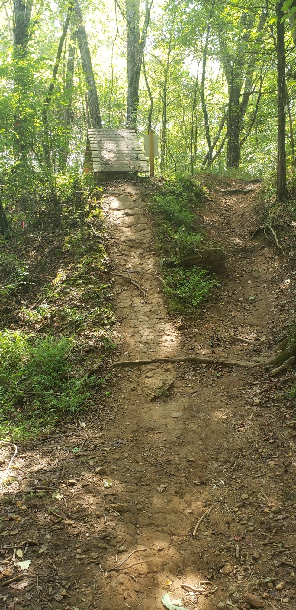A sunlit dirt path ascends steeply through a dense green forest. - Chickasaw Trace Park Loop