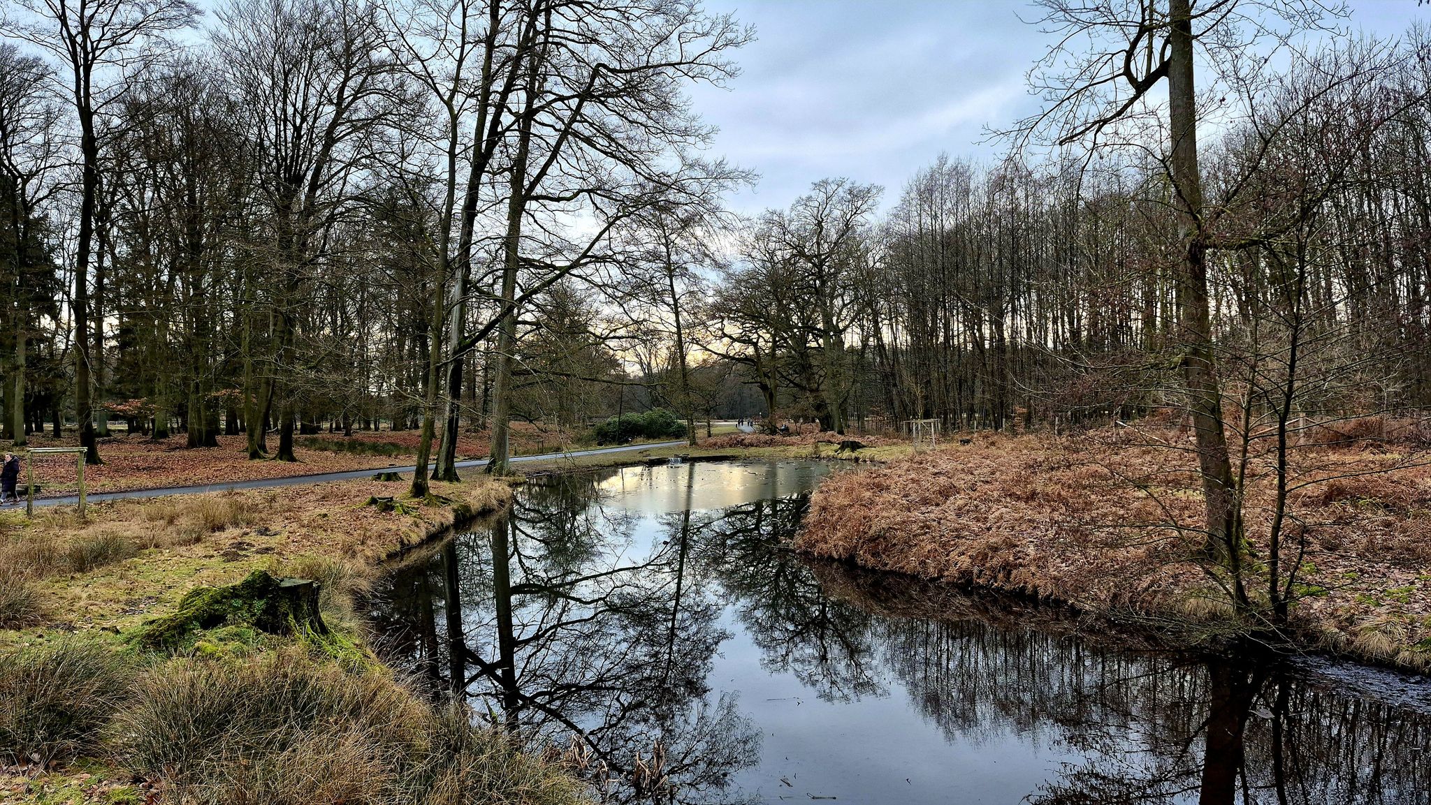 im Wildpark