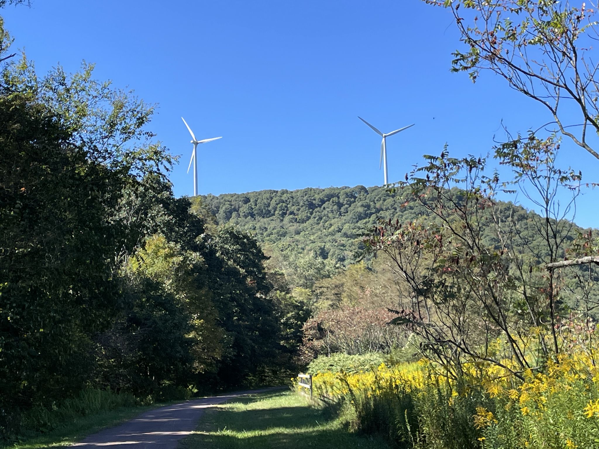 Two wind turbines on a distant green hill under a clear blue sky. - Great Allegheny Passage: Meyersdale to Deal