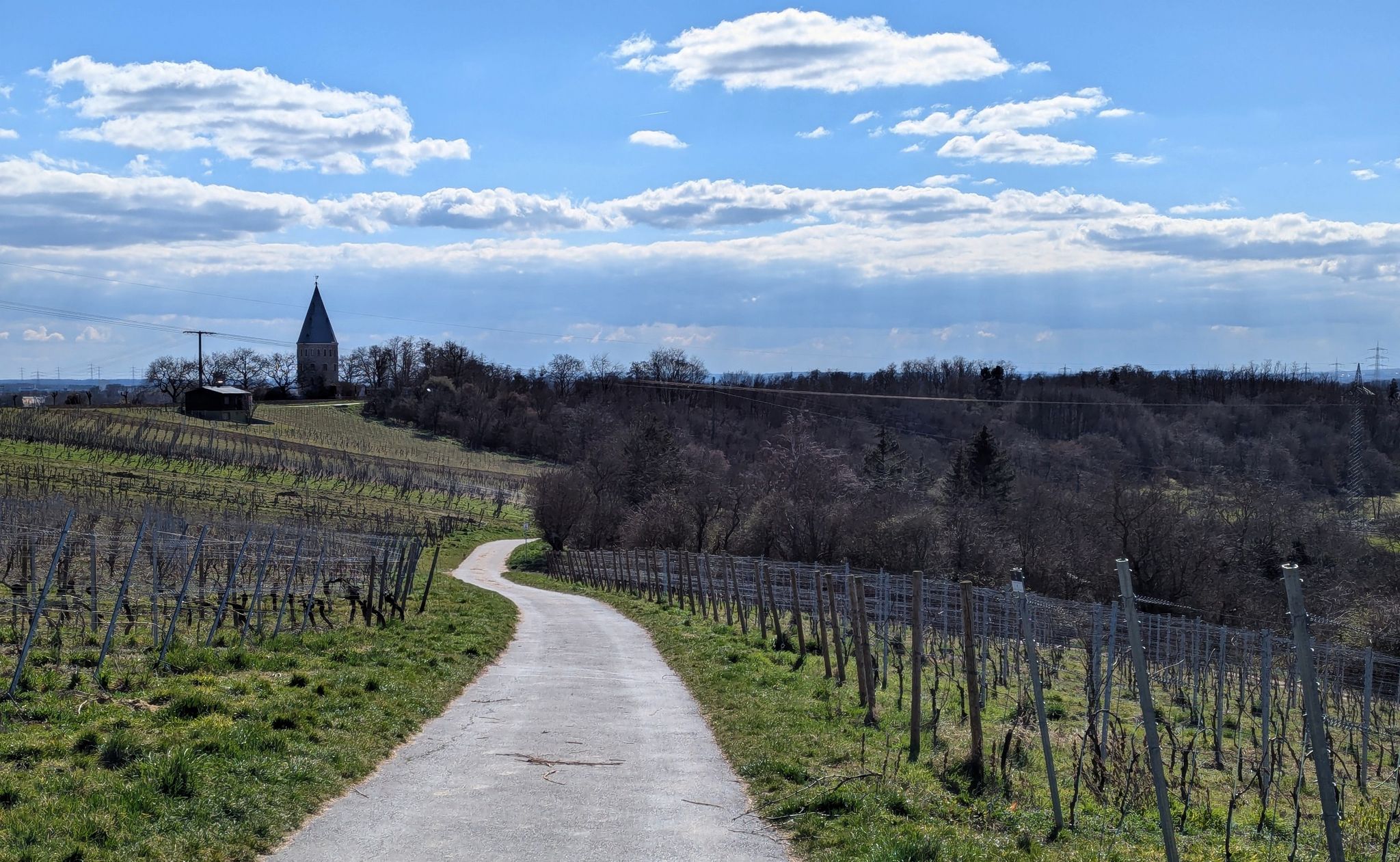 Landschaft zwischen Flörsheimer Warte und Wicker, Teil des Oberen Rheingaus