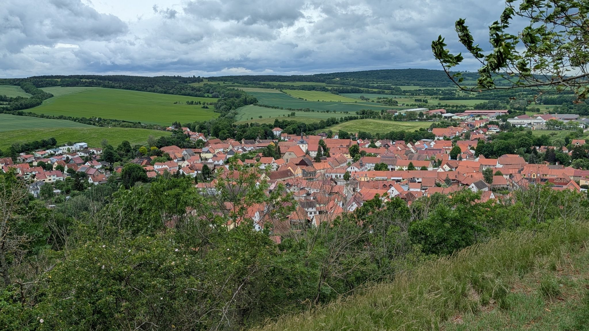 Blick auf Mühlberg.