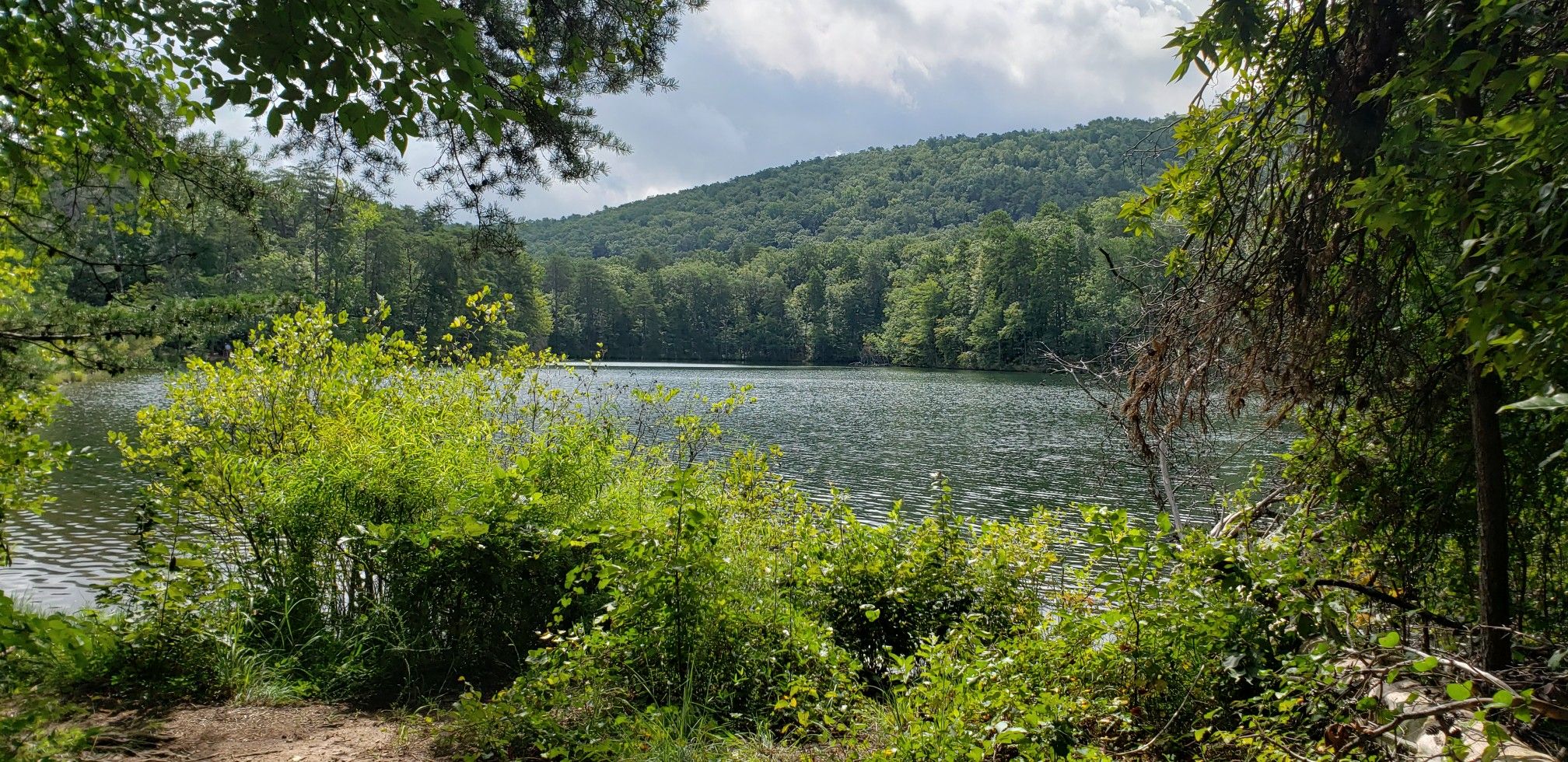 A serene lake surrounded by dense green forest under a bright sky. - Sulphur Springs Trail Loop