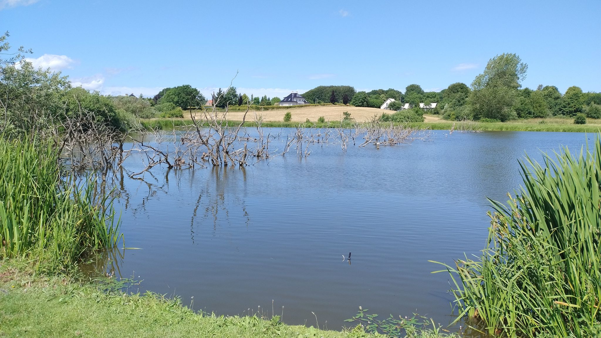 Einmal in Ringe um den See ...