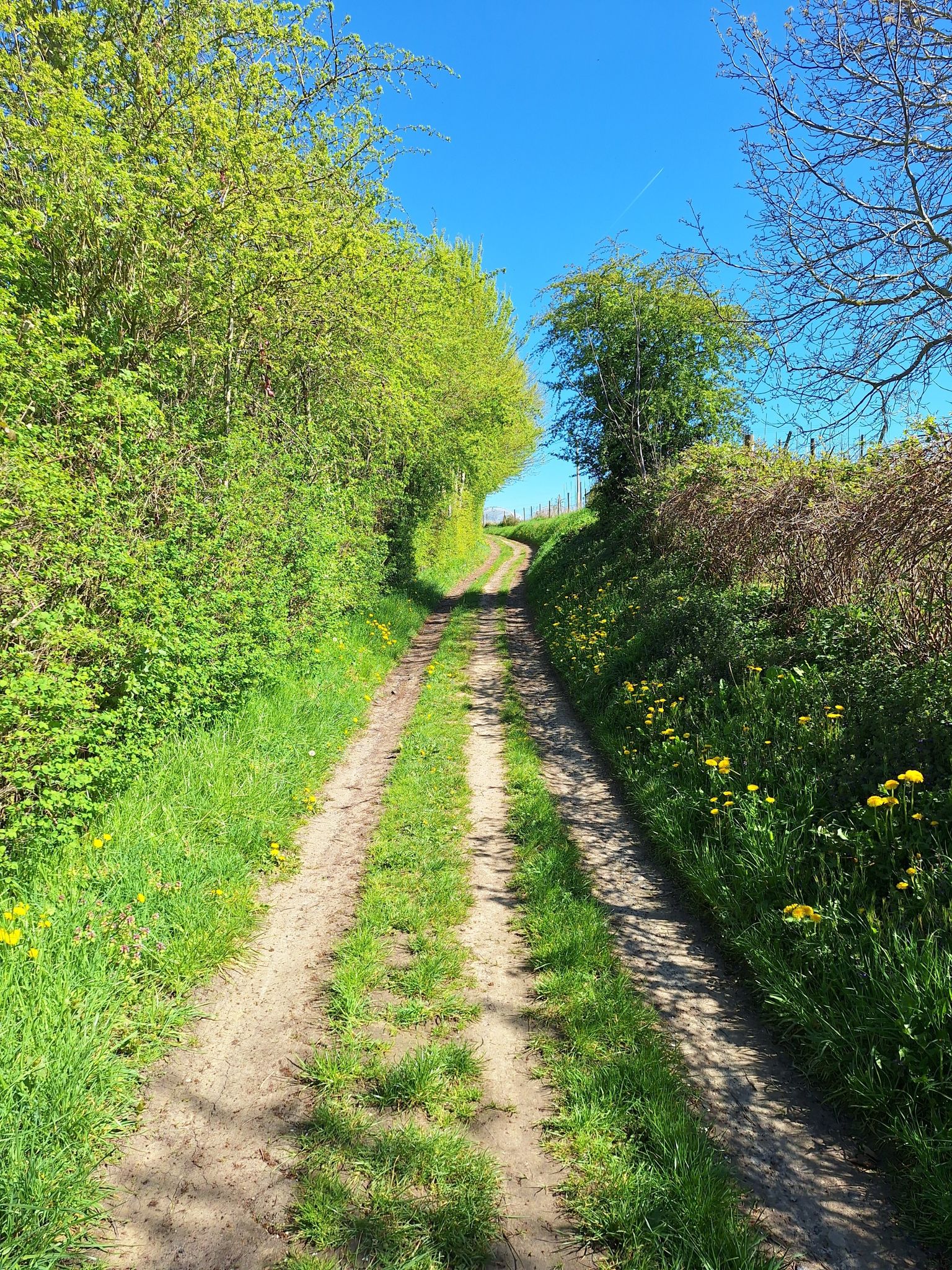 Chemin du Moulin