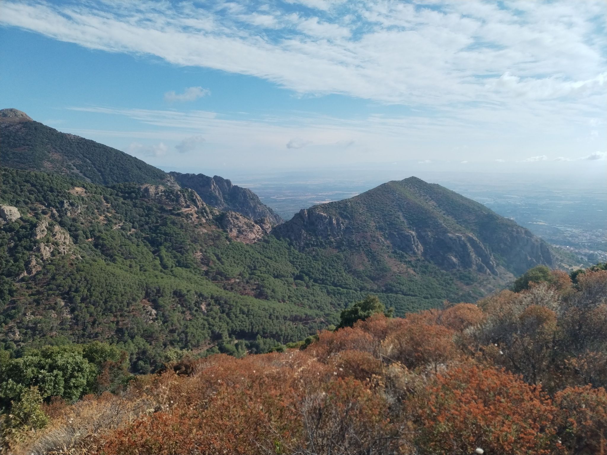 verso santu miali