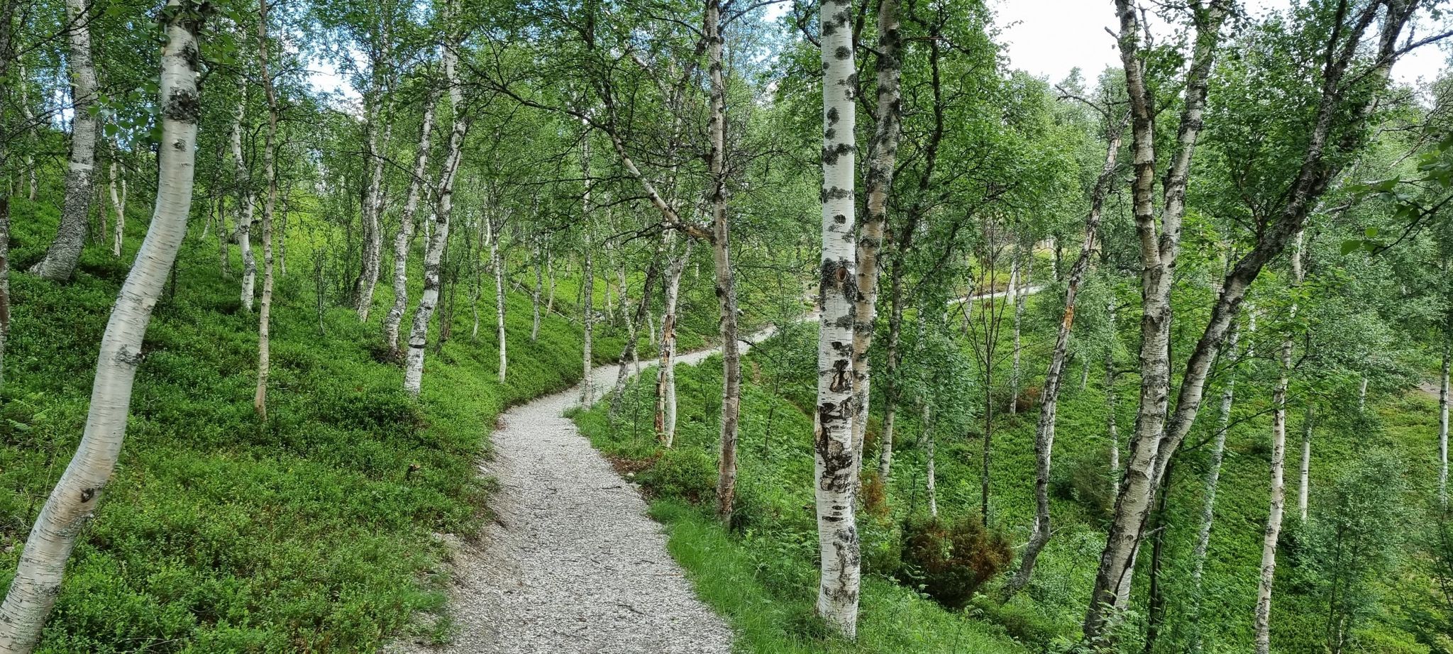 Weg zum Kvitsanden