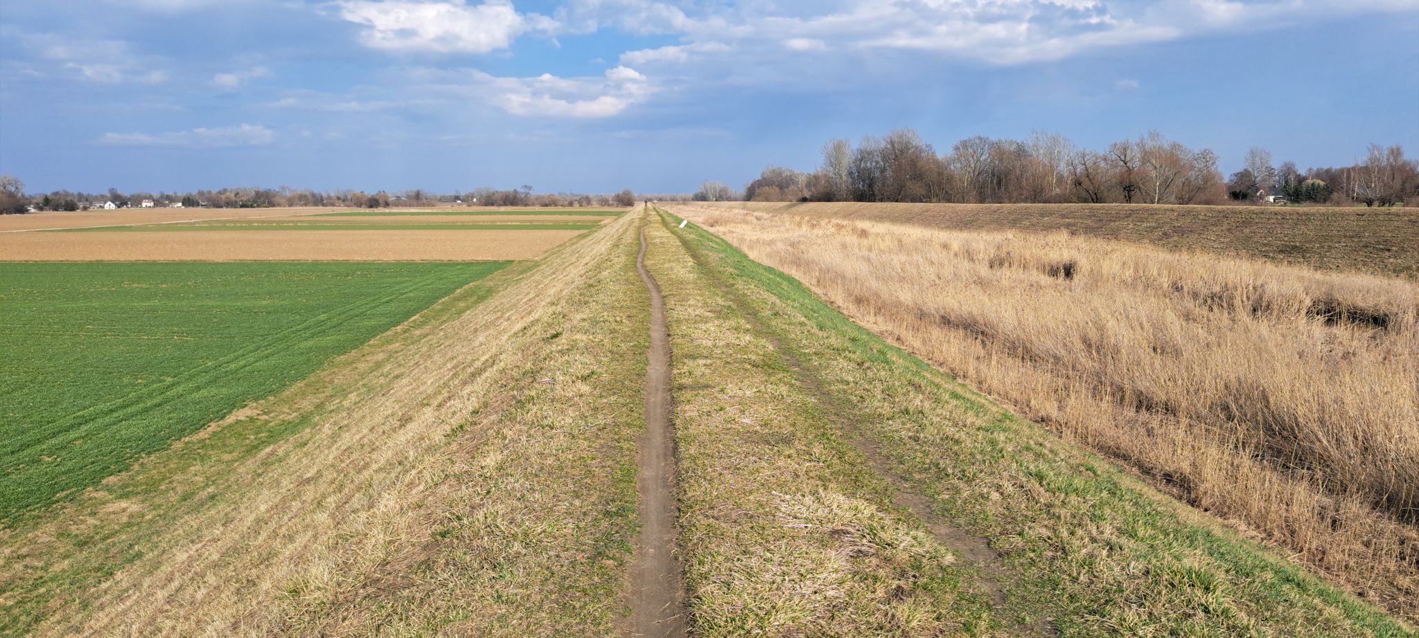 singletrack po północnym wale Jeziorki część na wschód od ul. Mirkowskiej