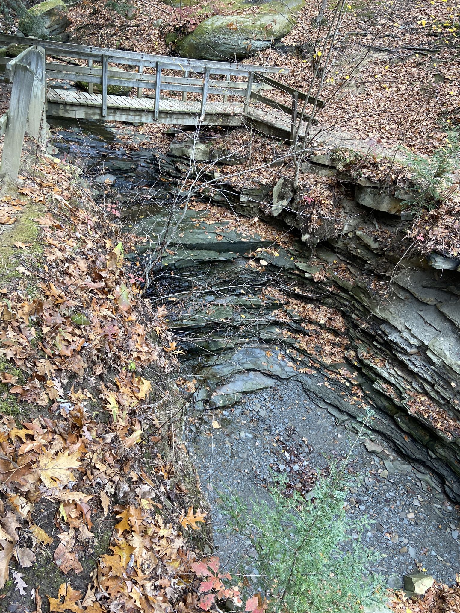 Wooden bridge over a rocky stream bed, surrounded by autumn leaves. - Highbridge and Gorge Trail Loop
