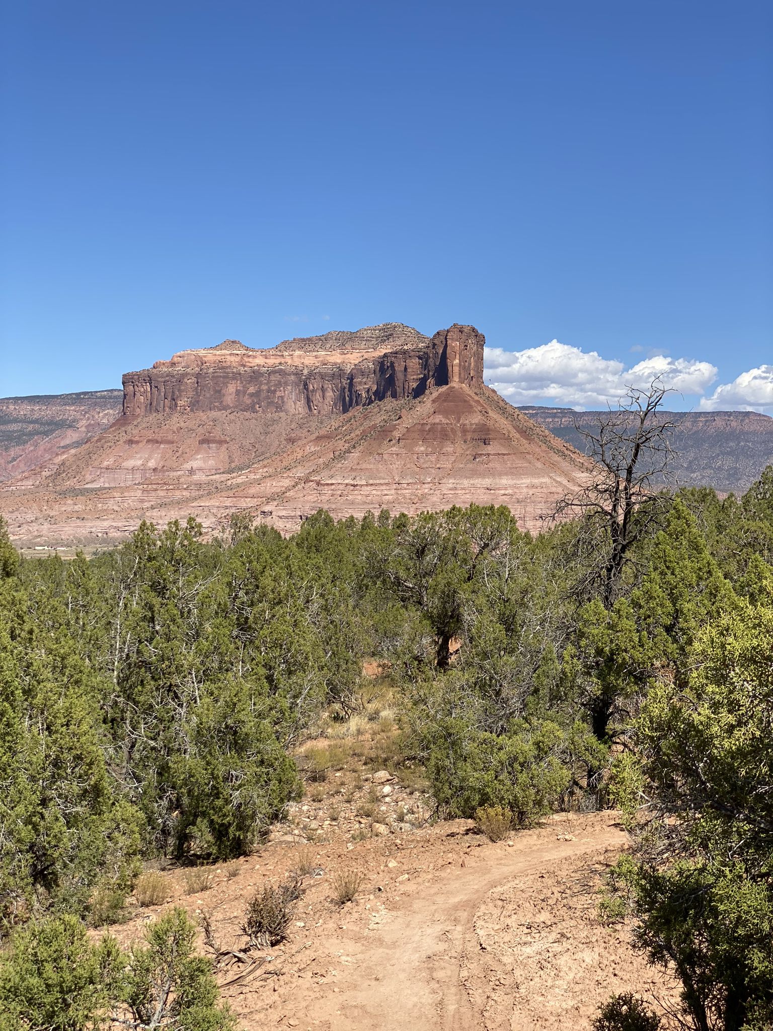 Red mesa rises above green trees and a dirt path on a sunny day. - Entrada, Vista Grande, Lumsden, and Runway Trail Loop