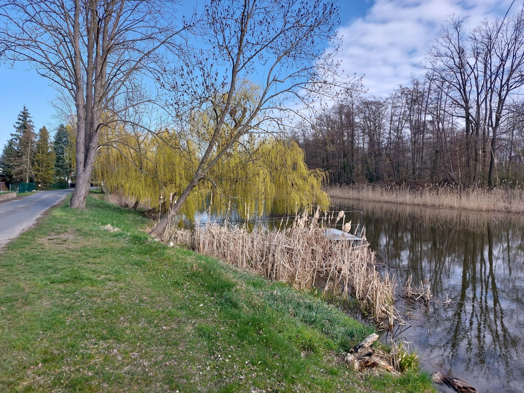 Letschiner Hauptgraben, ein alter Oderarm