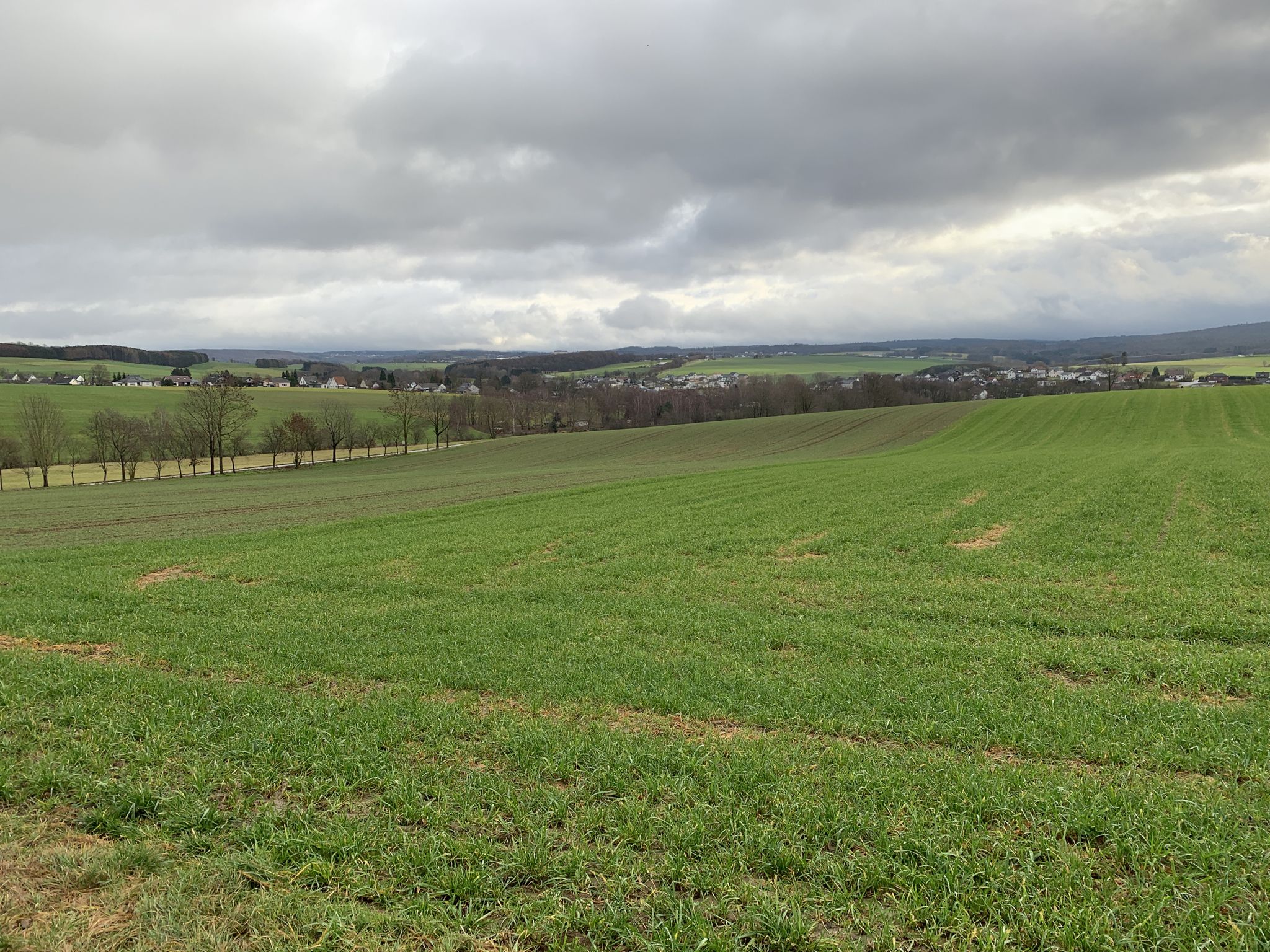 Hattert Richtung Hachenburg