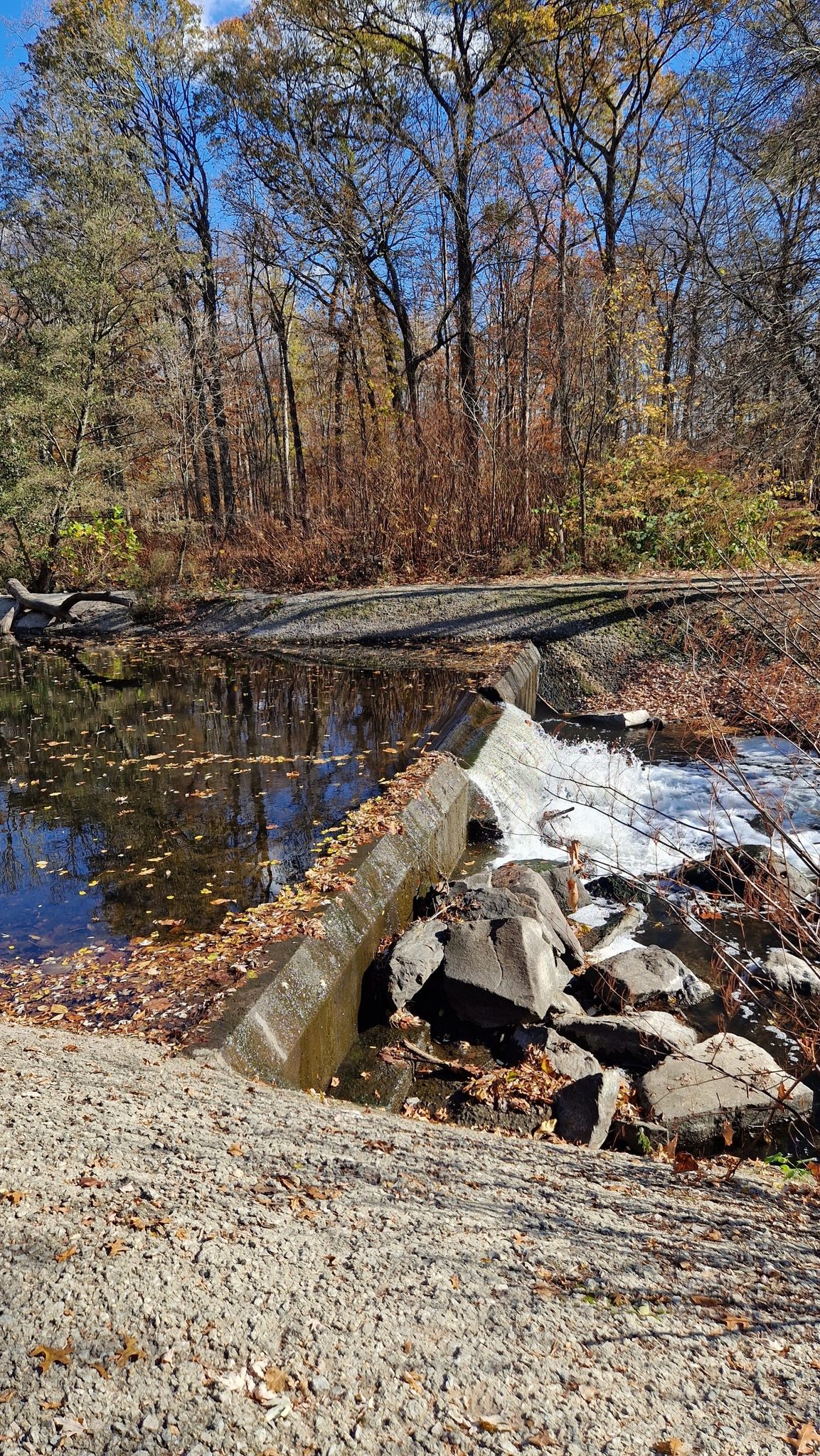 A small waterfall over a concrete structure, surrounded by autumn trees. - Saddle River and Oradell Reservoir Loop