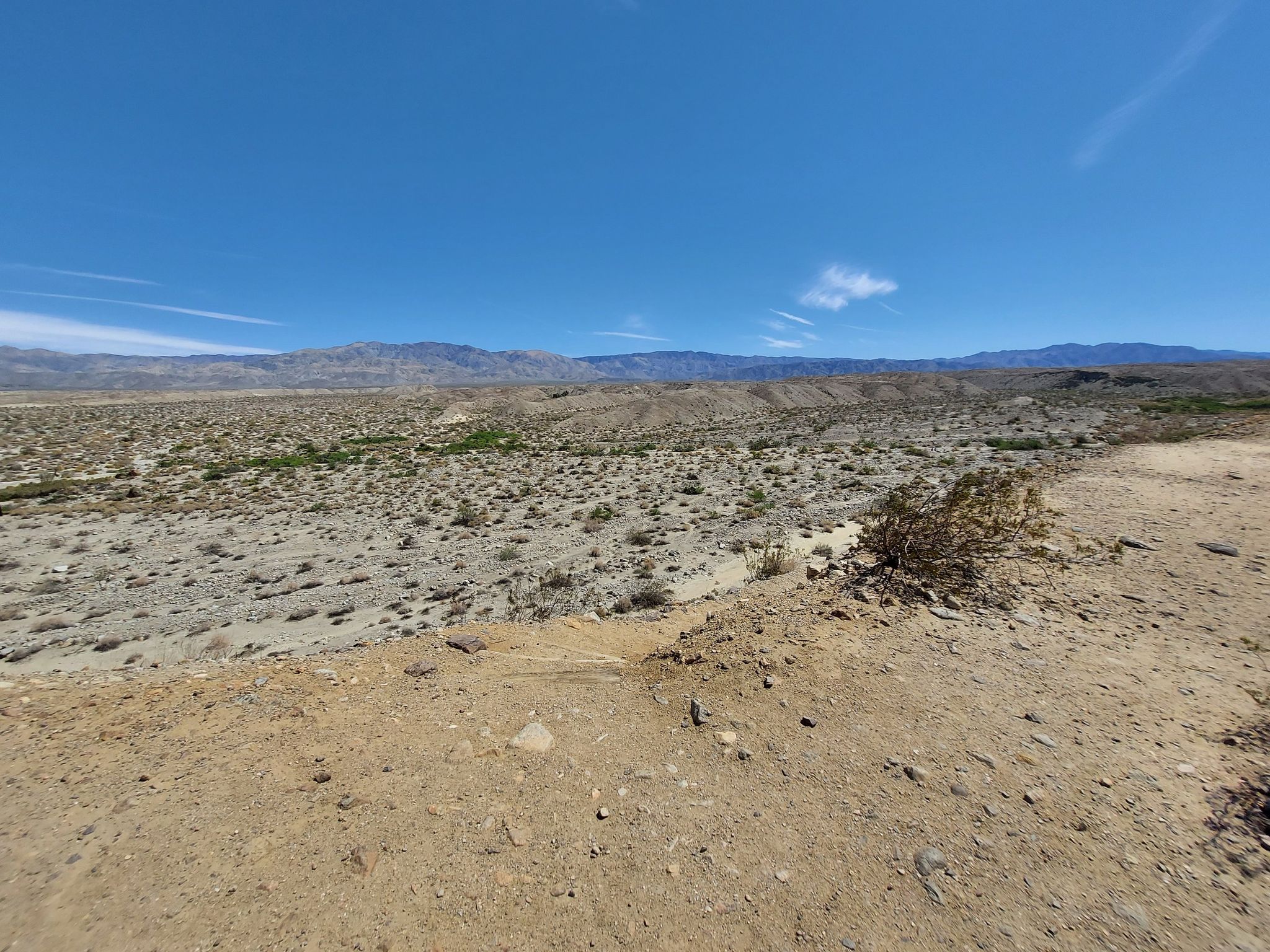 Vast desert landscape with scrub brush and distant mountains under blue sky. - Pushwalla Palms Loop
