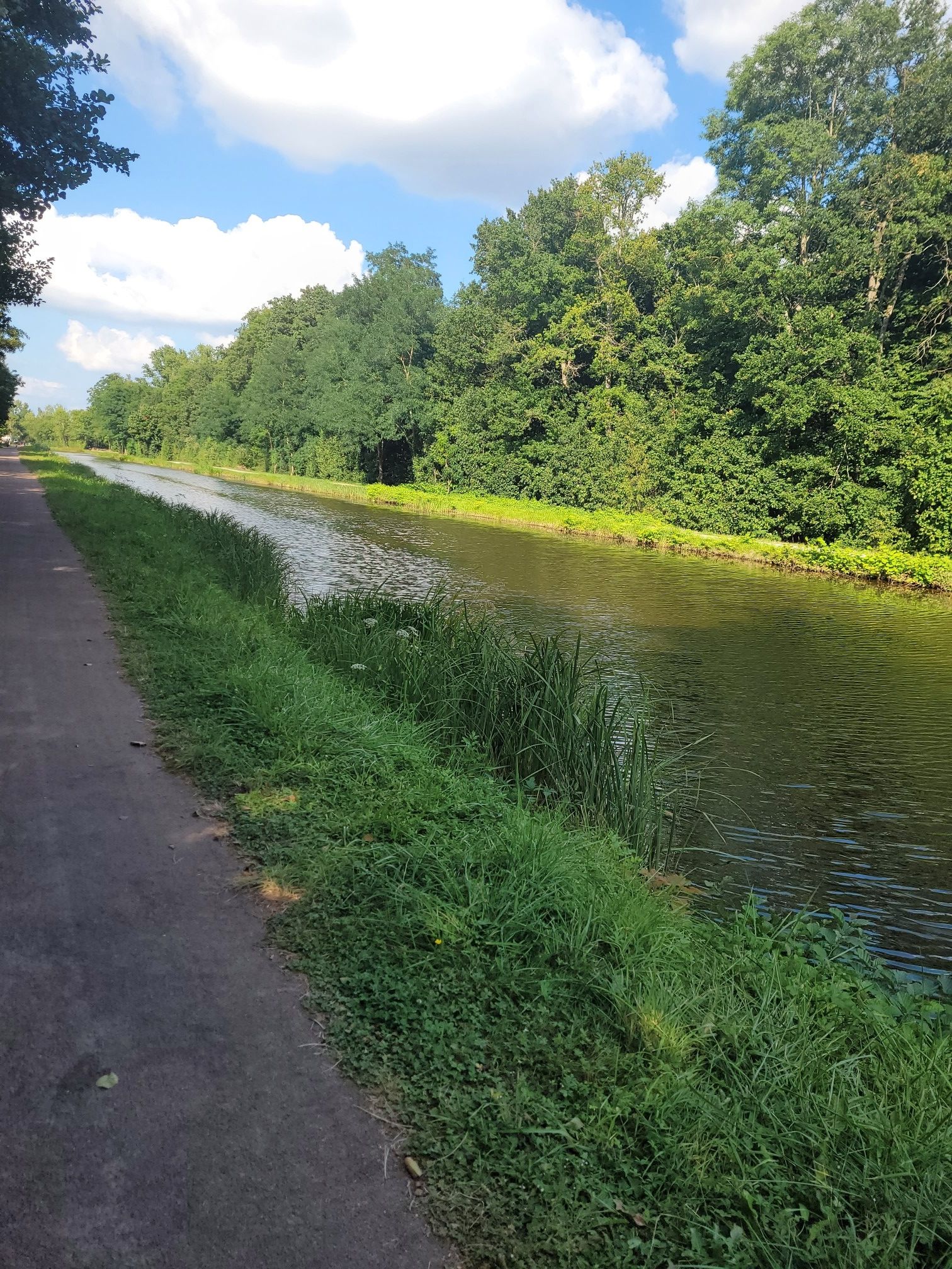 bord du canal du Berry 