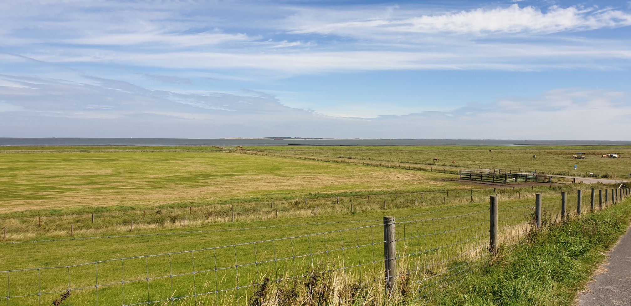 Blick vom Deich aufs Wattenmeer
