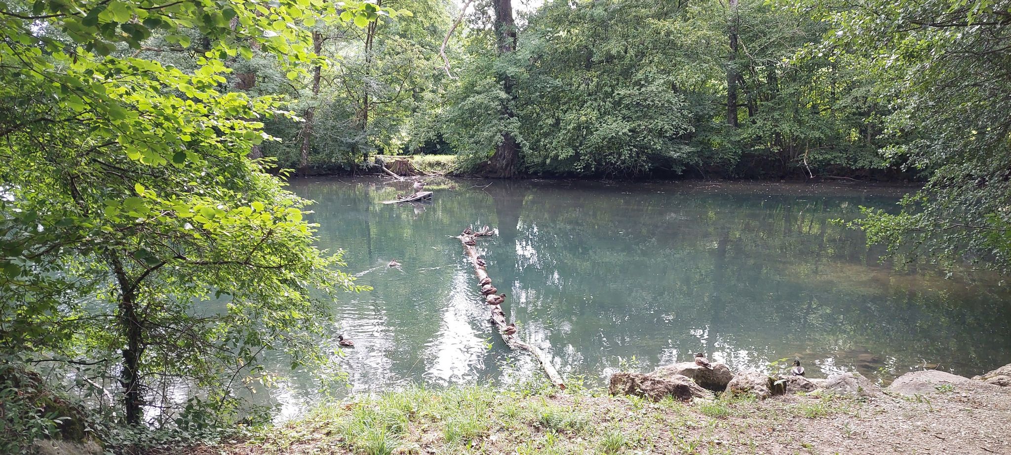 äntäliweiher