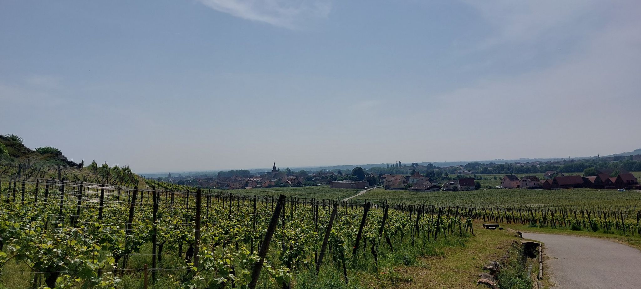 Kientzheim
