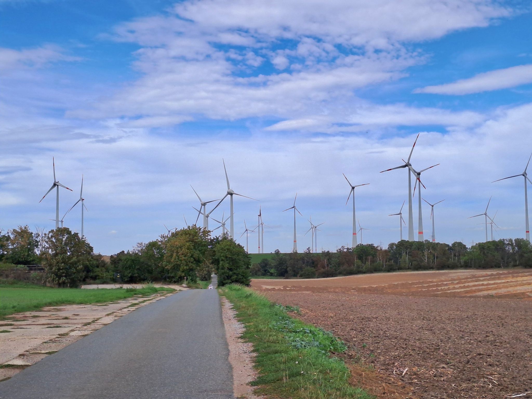 Durch den Windpark nach Langendorf