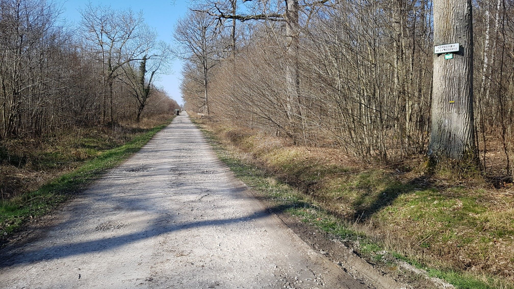 🚴‍♂️