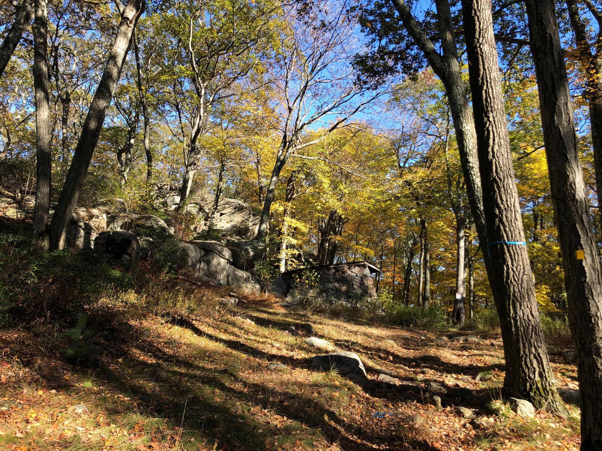 Sunny autumn forest with a stone structure nestled among rocks and yellow trees. - William Brien Memorial Shelter – Silver Mine Lake loop from Silvermine Lake Parking Area