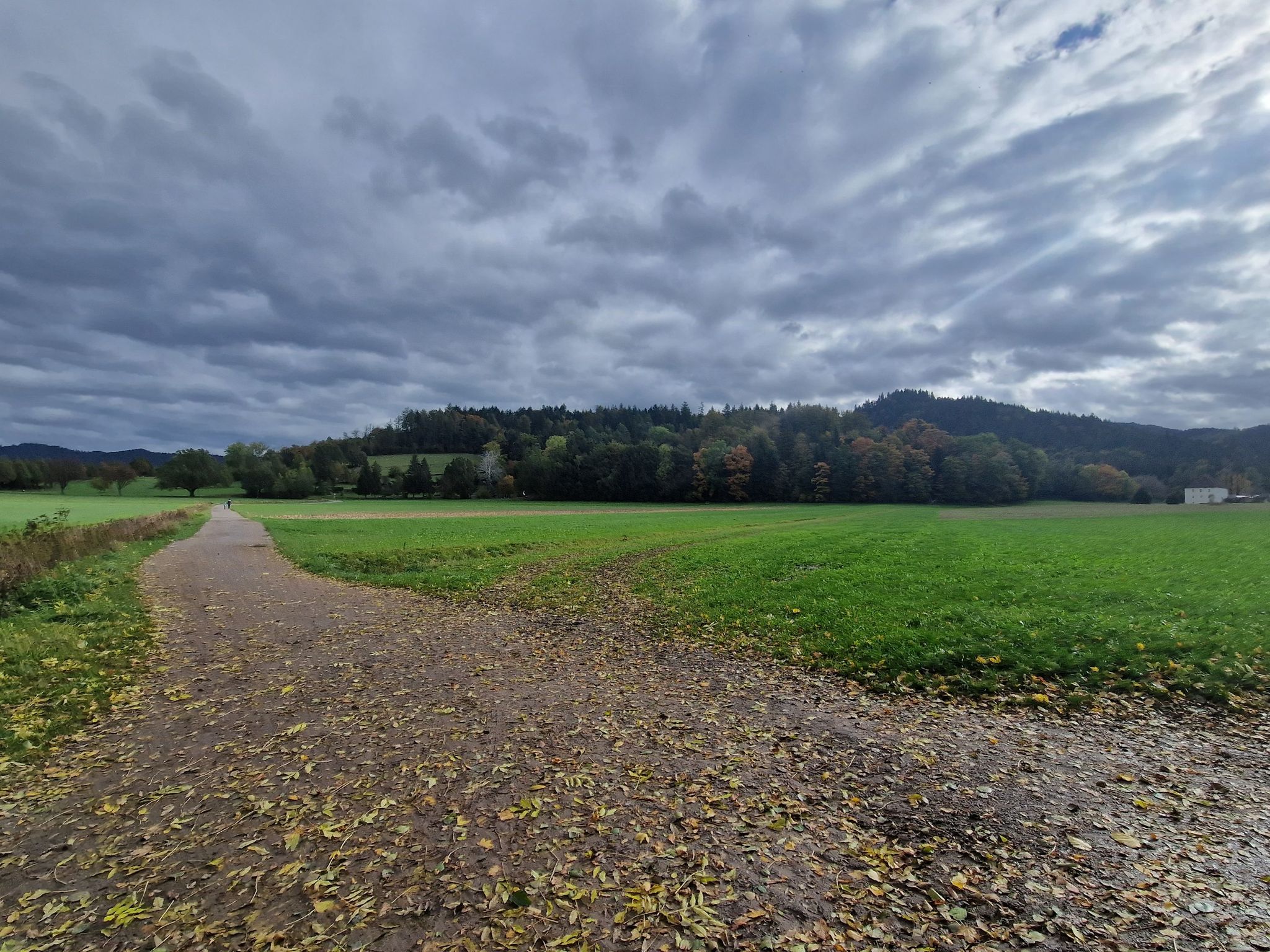 breit und flach zu Beginn