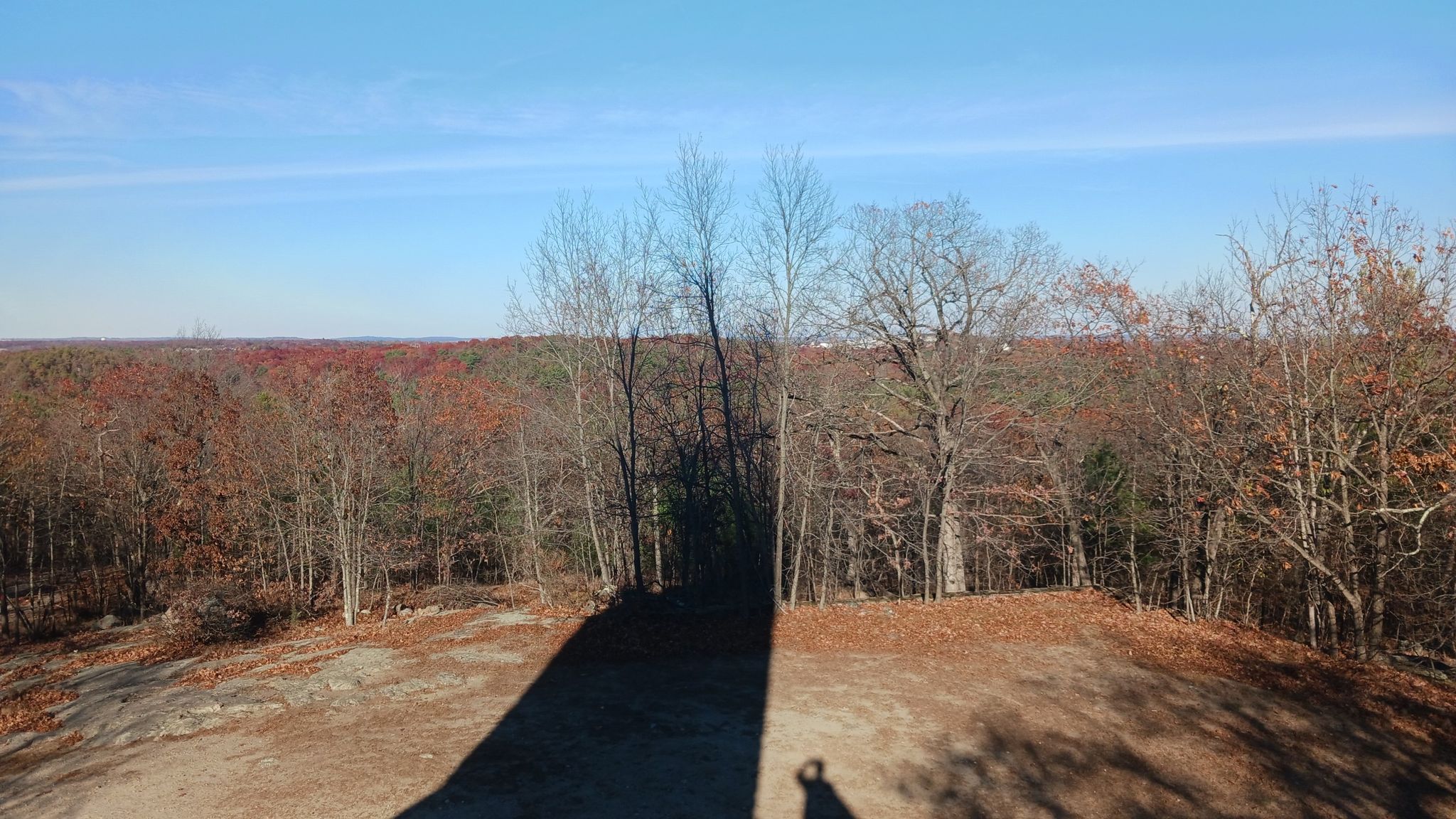 Bright sun casts long shadows over bare trees and dry ground. - Stone Tower – Great Woods Road loop from Lynn Woods Reservation