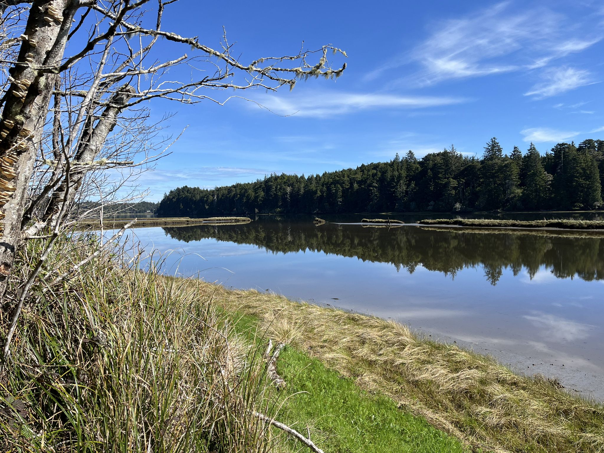Calm river reflecting blue sky, bordered by green grass and dense forest. - Railroad and Tunnel Loop