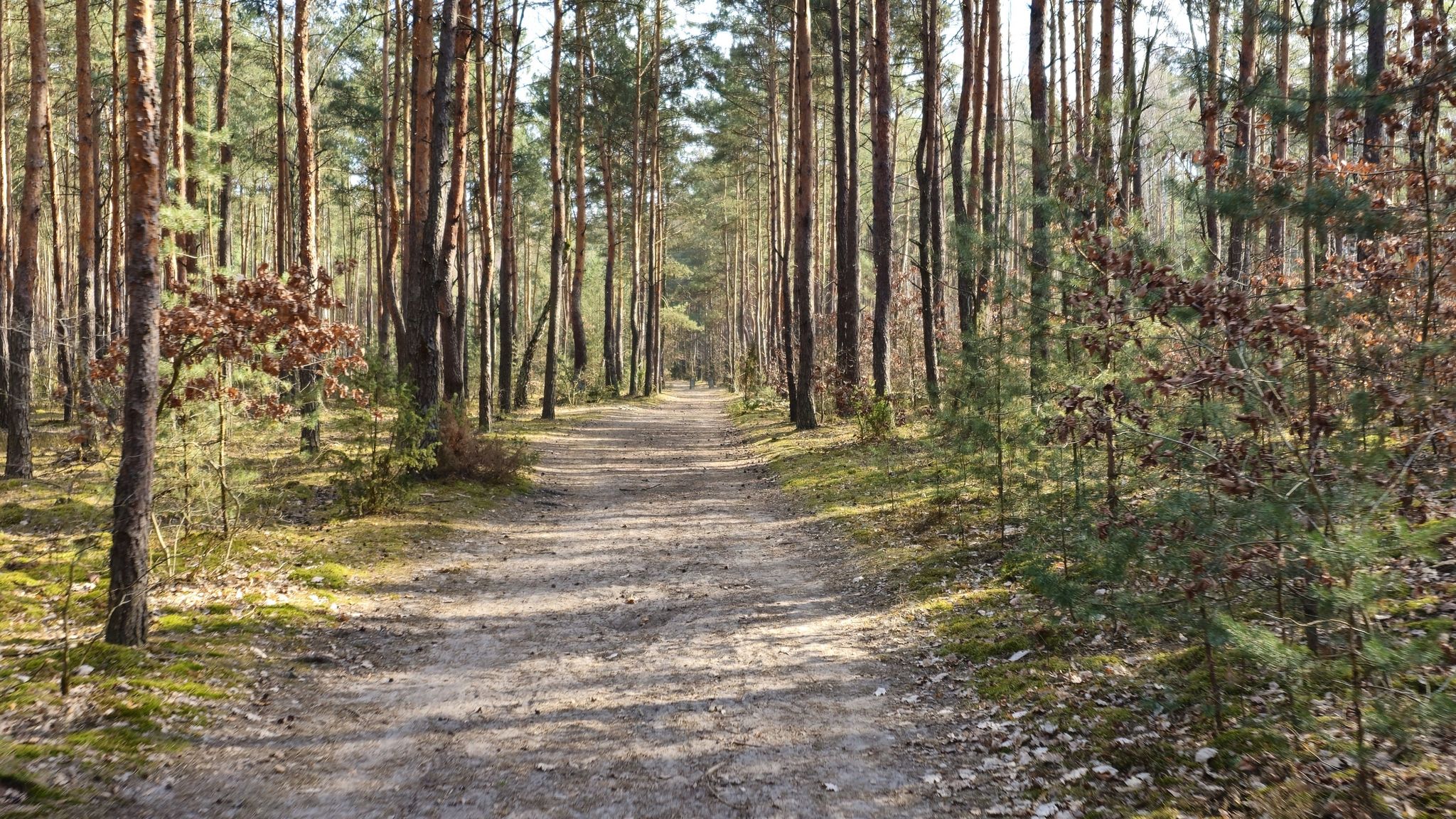 A sprawdzamy co na czerownym szlaku u jej podnuży.