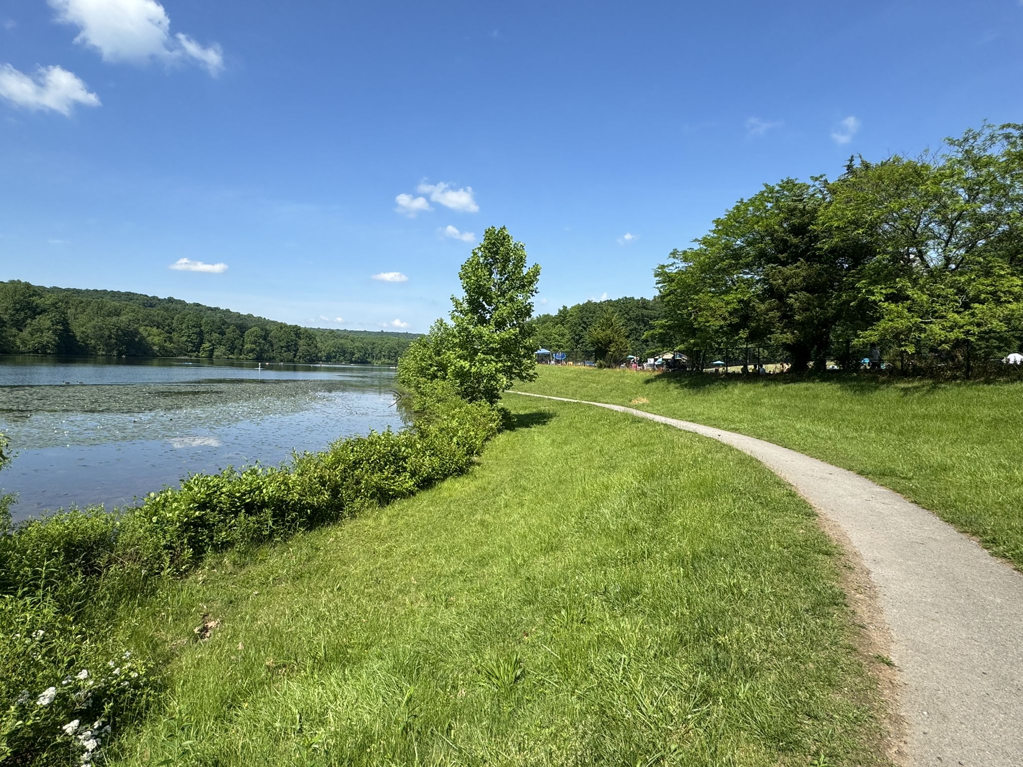 Curved path next to a lake with lily pads and distant trees. - Boone Trail