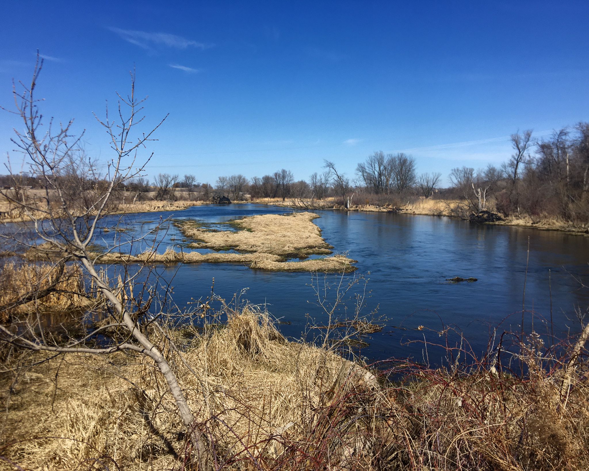 Wide river with dry grass islands under a bright blue sky. - Sakatah Singing Hills State Trail
