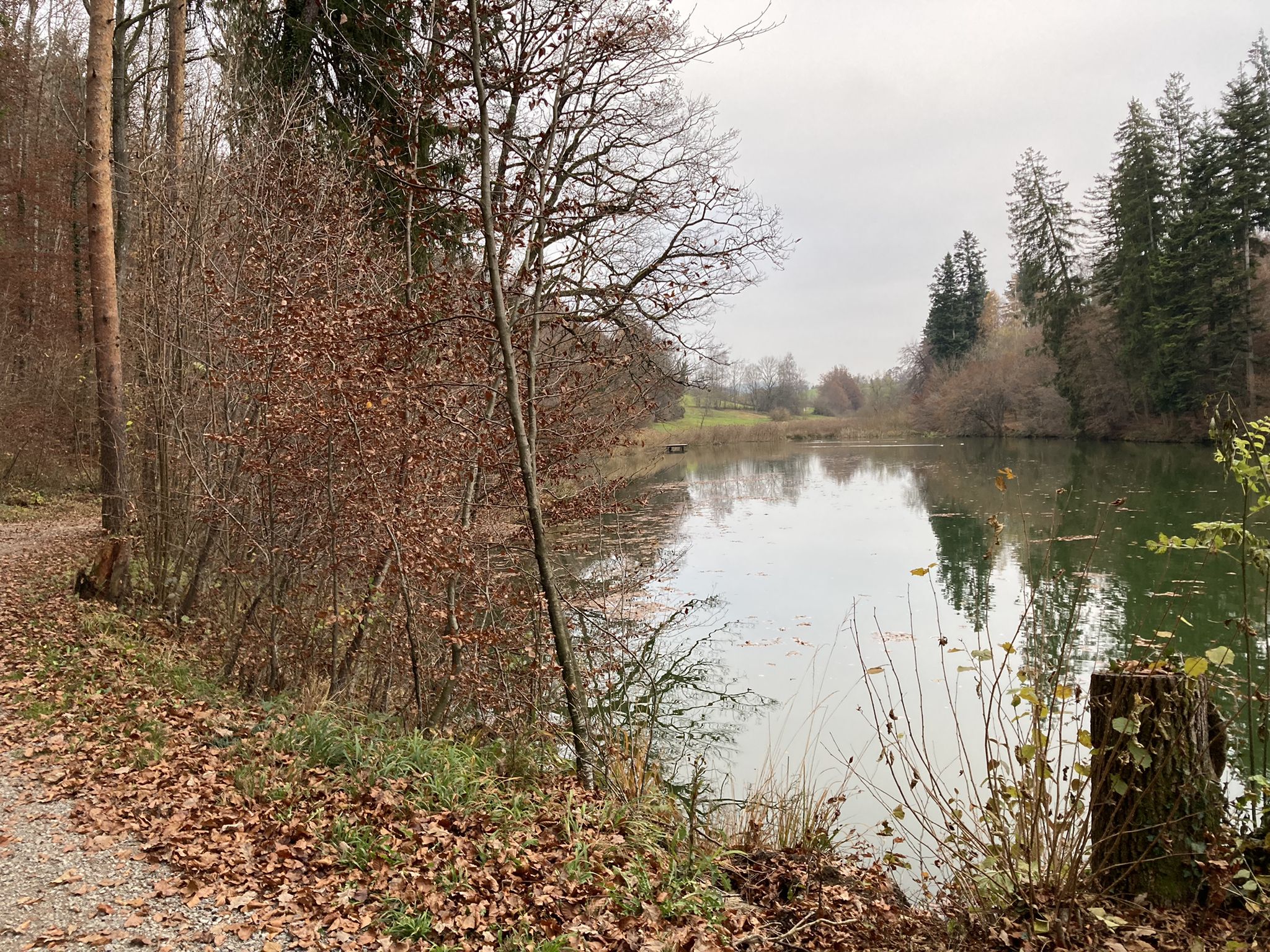 ...weiher