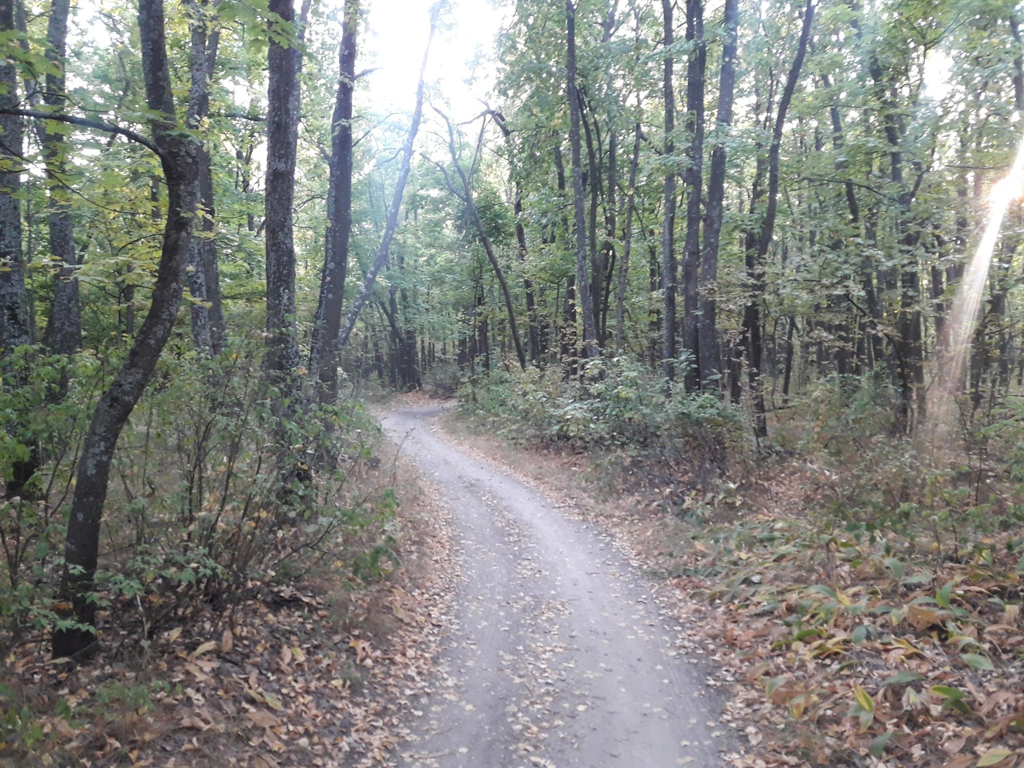 ein (wenn auch sehr begrenzter) mountainbikespielplatz