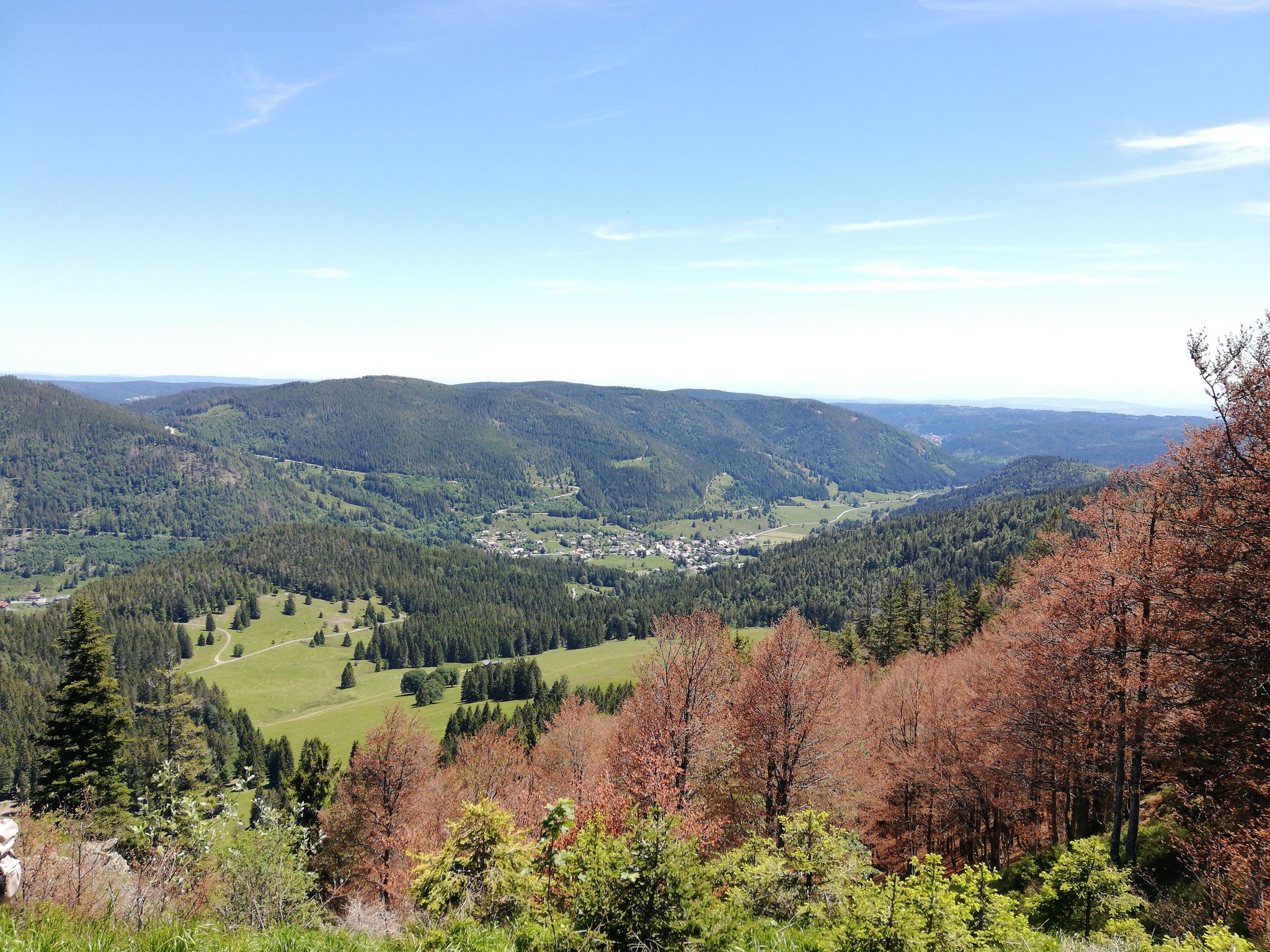 Menzenschwand