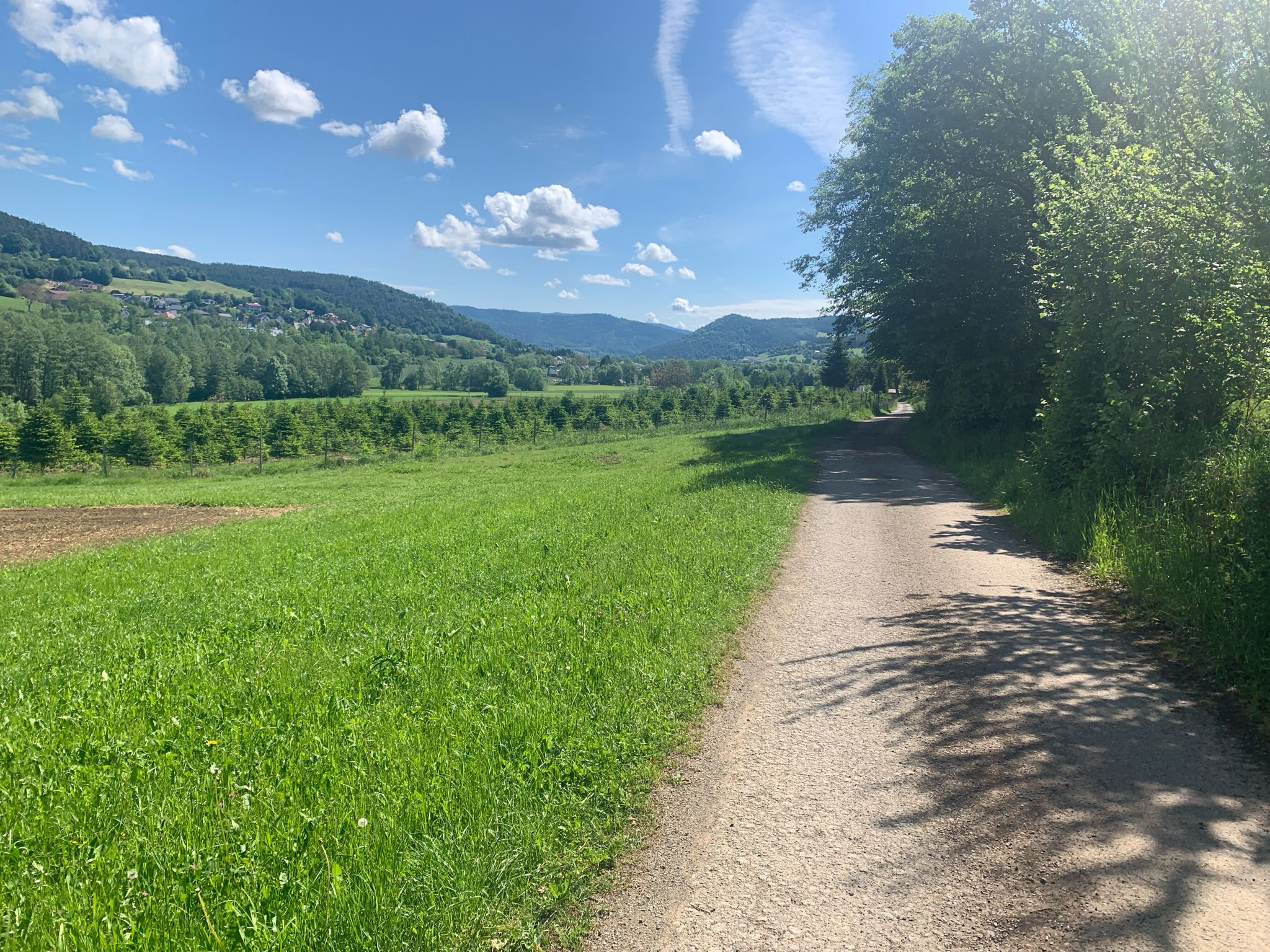 Waldviertelweg