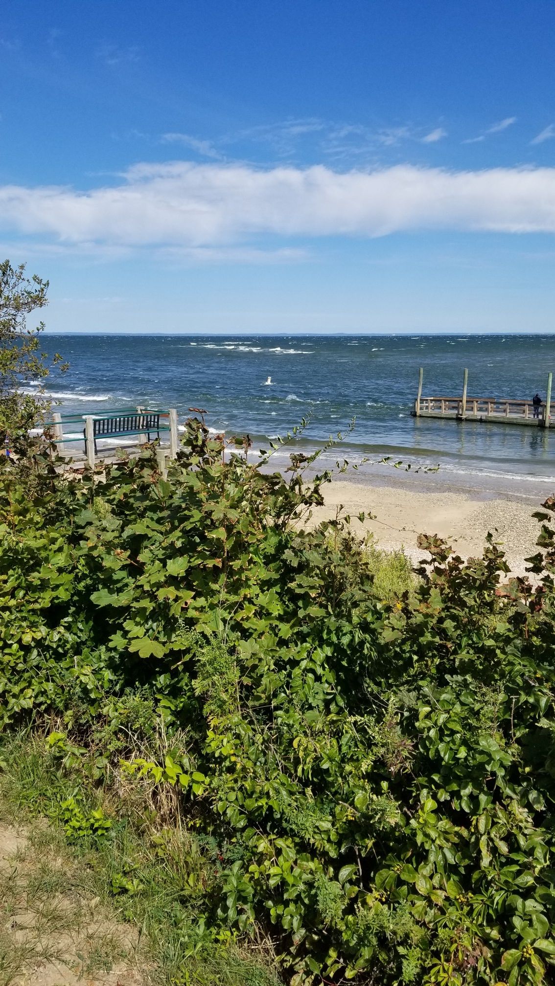 Choppy blue ocean with a small dock, sandy beach, and green bushes. - Nissequogue River Loop