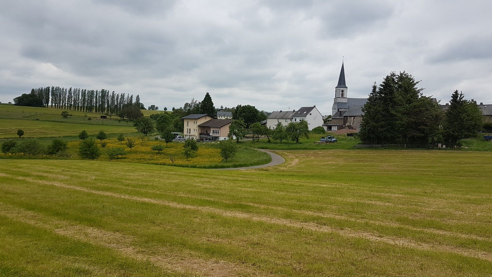 Hontheim